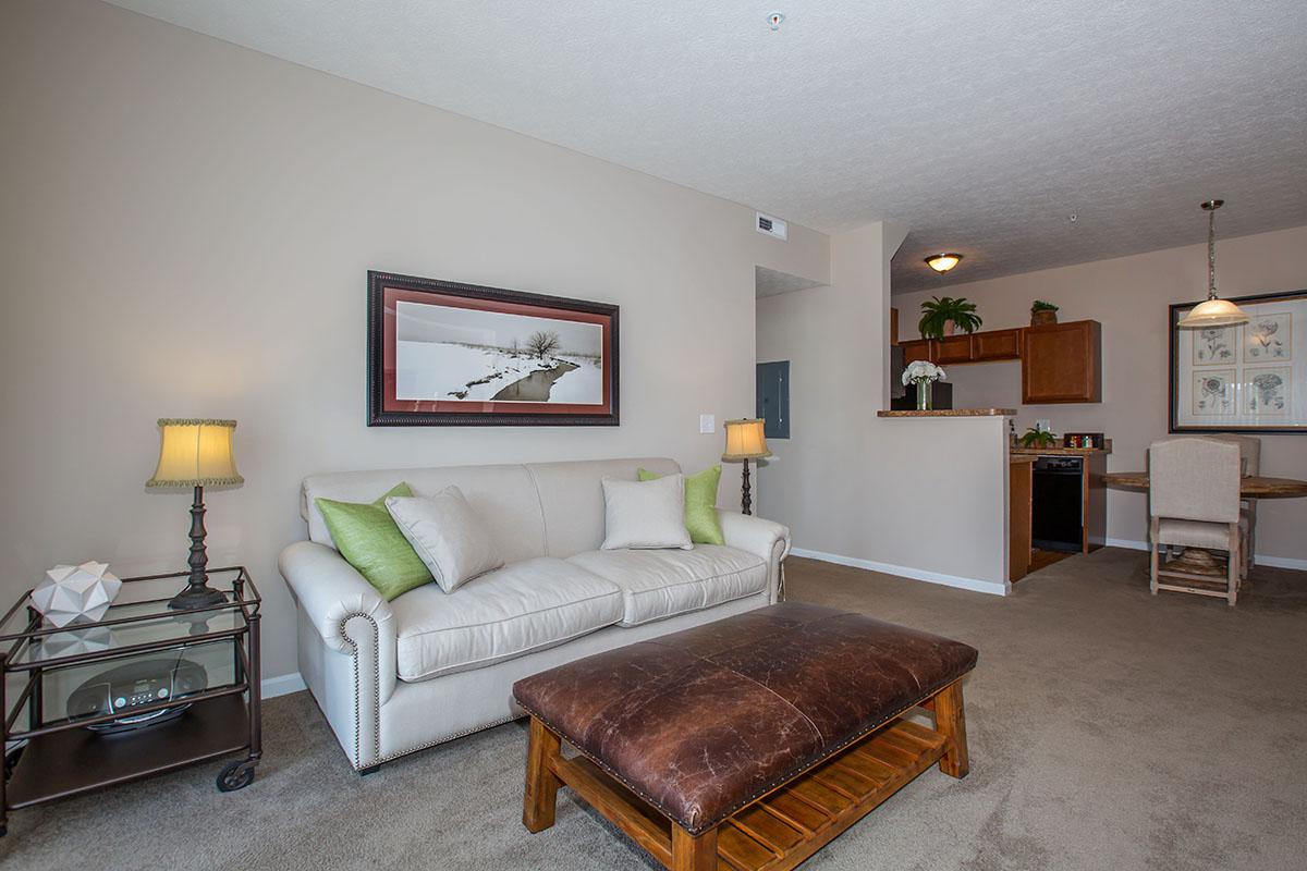01b Living Room.jpg
