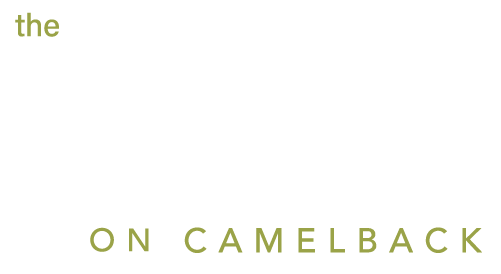The Vue on Camelback ebrochure logo