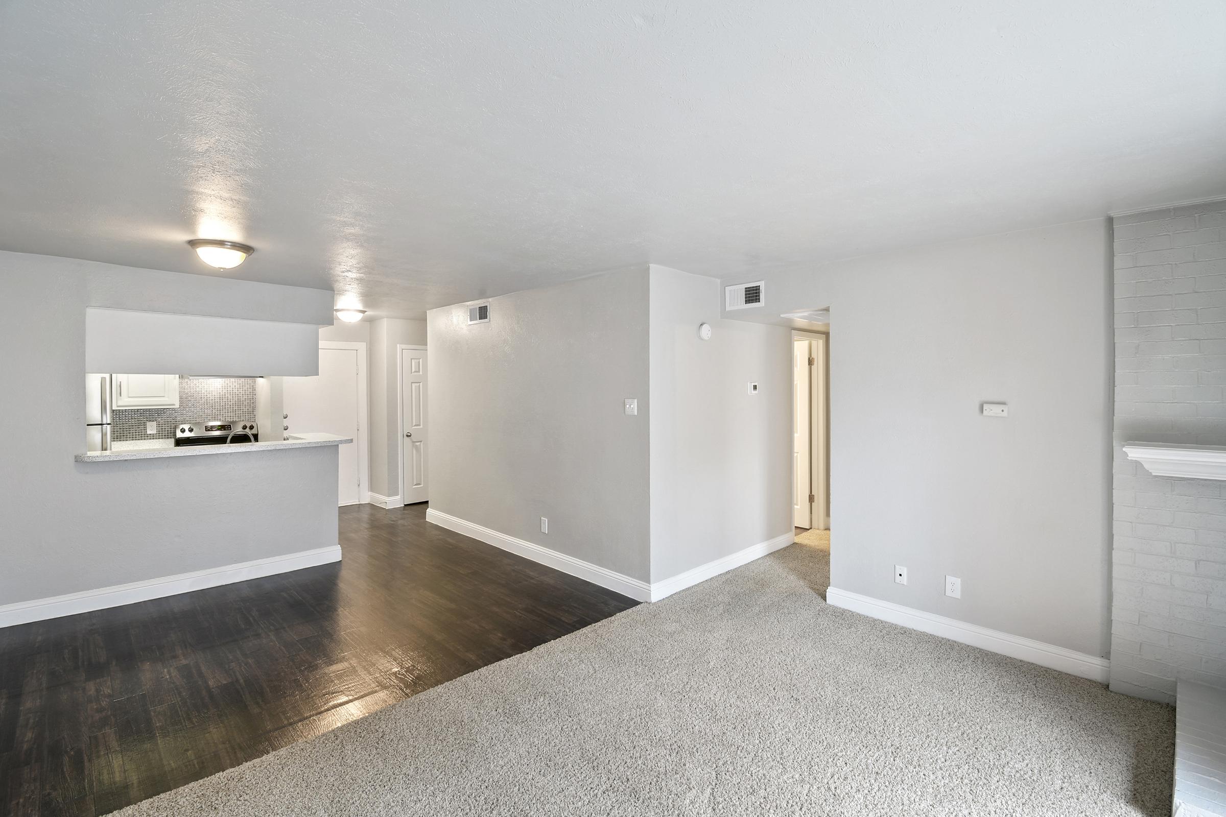 Bright and spacious living area with grey walls, dark hardwood floors, and plush carpet. Features an open layout with a kitchen bar, visible through an archway. A fireplace is located on the right side, and a door to the hallway leads to additional rooms. Ample natural light fills the space.