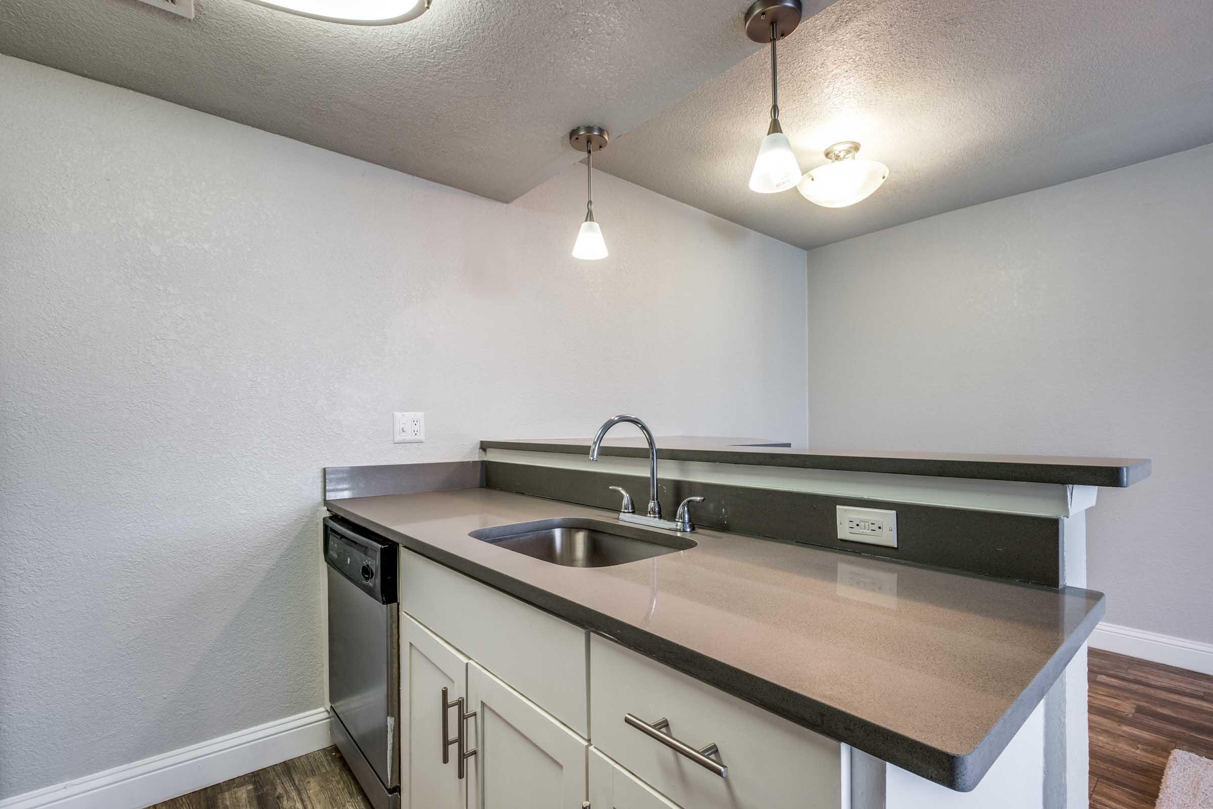 Modern kitchen with a sleek gray countertop, stainless steel sink, and faucet. Under-cabinet lighting illuminates the space, and there's a built-in dishwasher. The wall has a light gray finish, adding to the contemporary feel.
