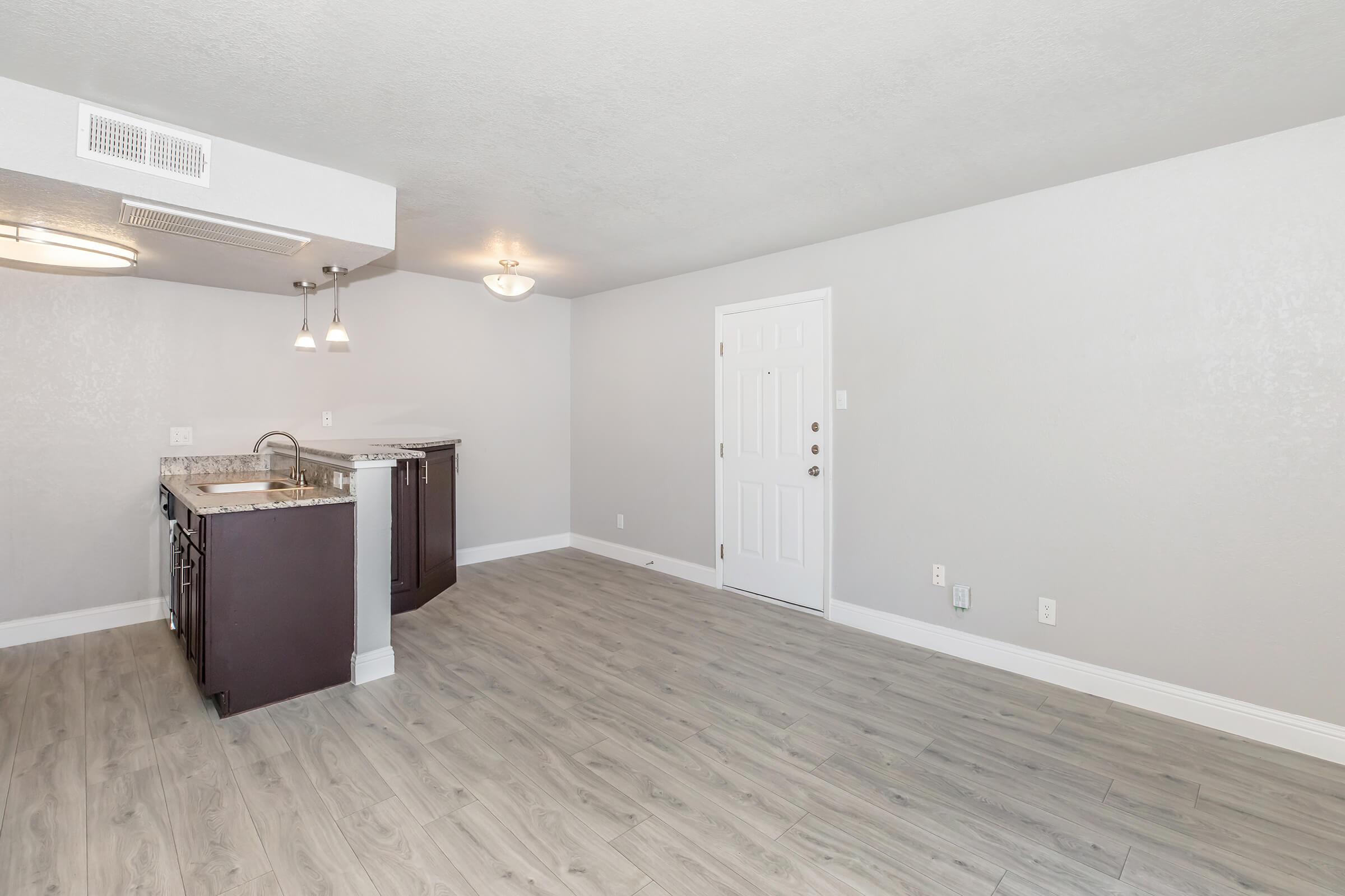Empty modern apartment interior featuring light grey walls and laminate flooring. The kitchen area includes dark cabinetry and a granite countertop. A door to the outside is visible, along with overhead lighting fixtures. The space is well-lit, creating a bright and inviting atmosphere.