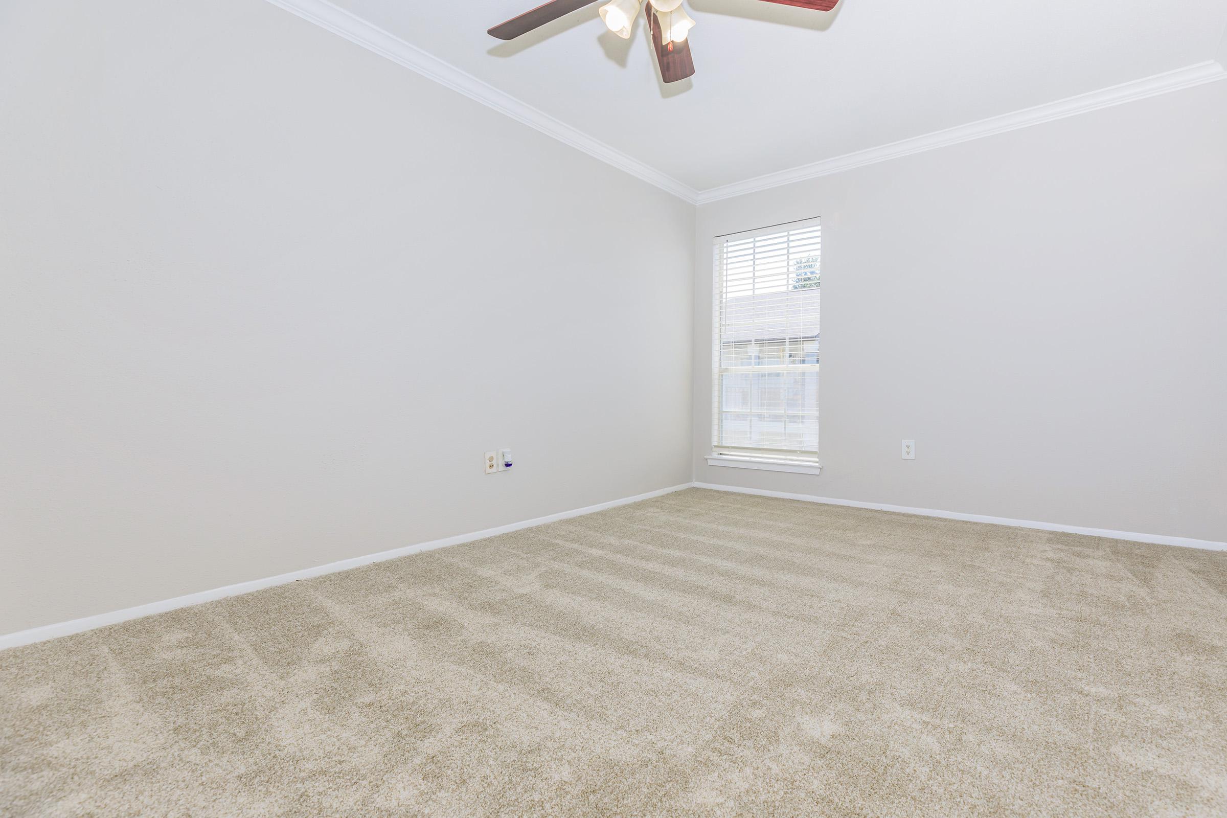 Empty room with light beige carpet, light gray walls, and a ceiling fan with wooden blades. A single window with white blinds allows natural light to enter, casting shadows on the floor. The room has a clean, spacious feel, ideal for personalization or various uses.