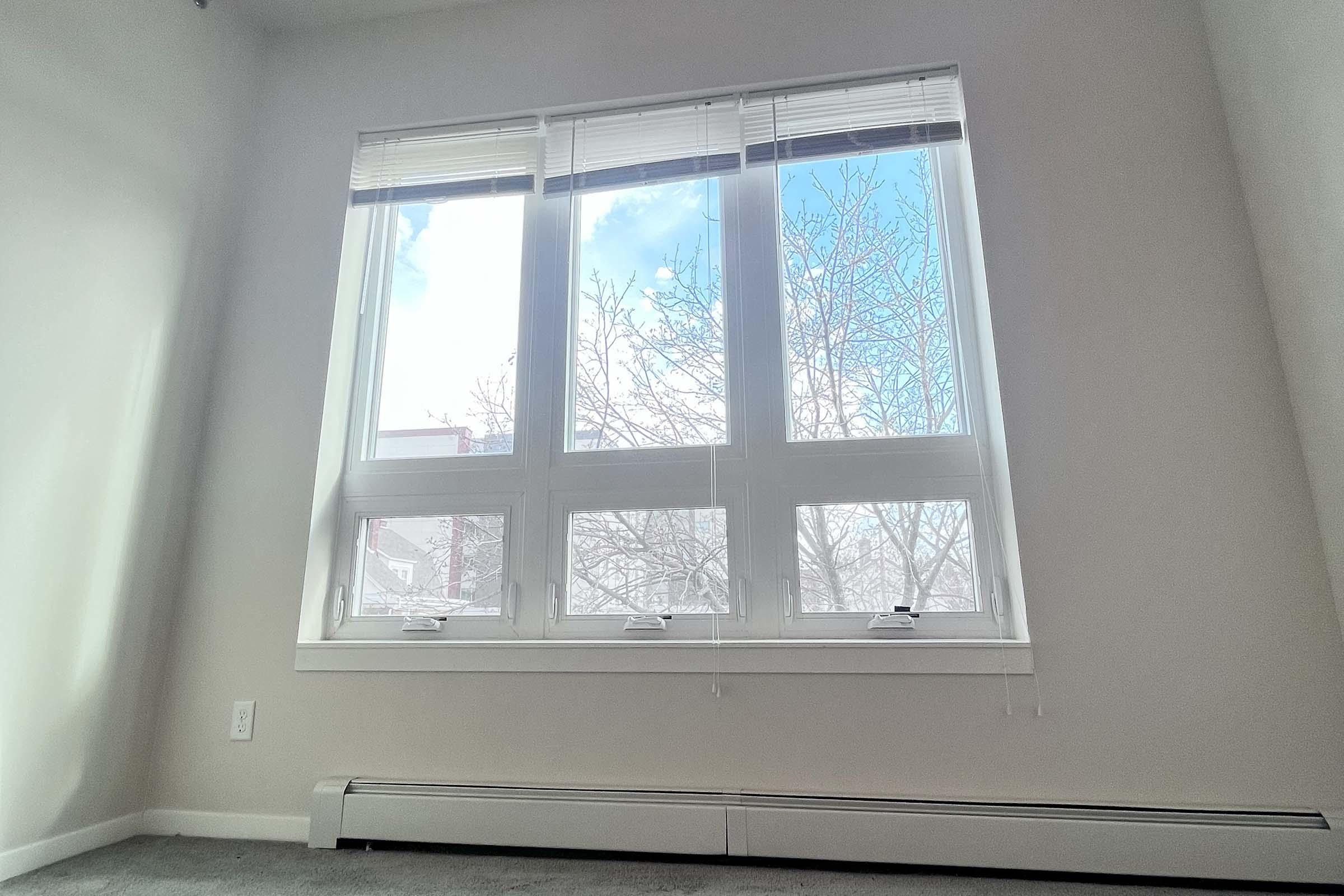 Large window with three panes, allowing natural light to fill a brightly colored room. Outside, a clear sky and tree branches are visible, creating a peaceful atmosphere. The room features light-colored walls and carpeting, conveying a modern, inviting space.