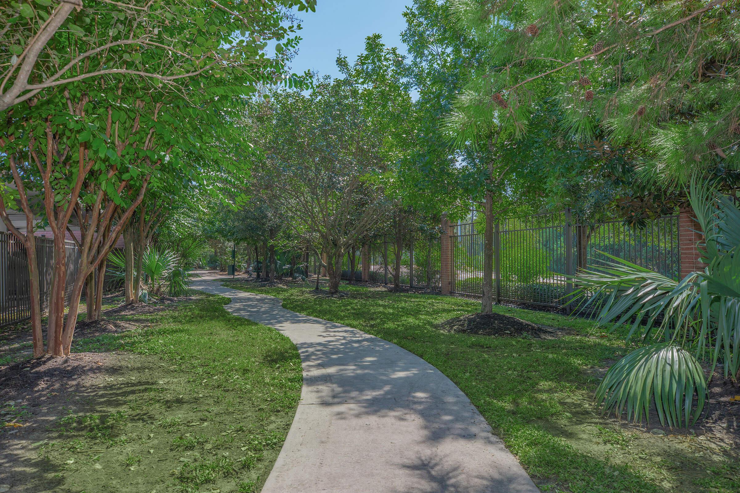 walkway with greenery