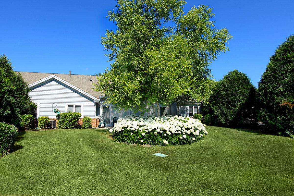 a large lawn in front of a house