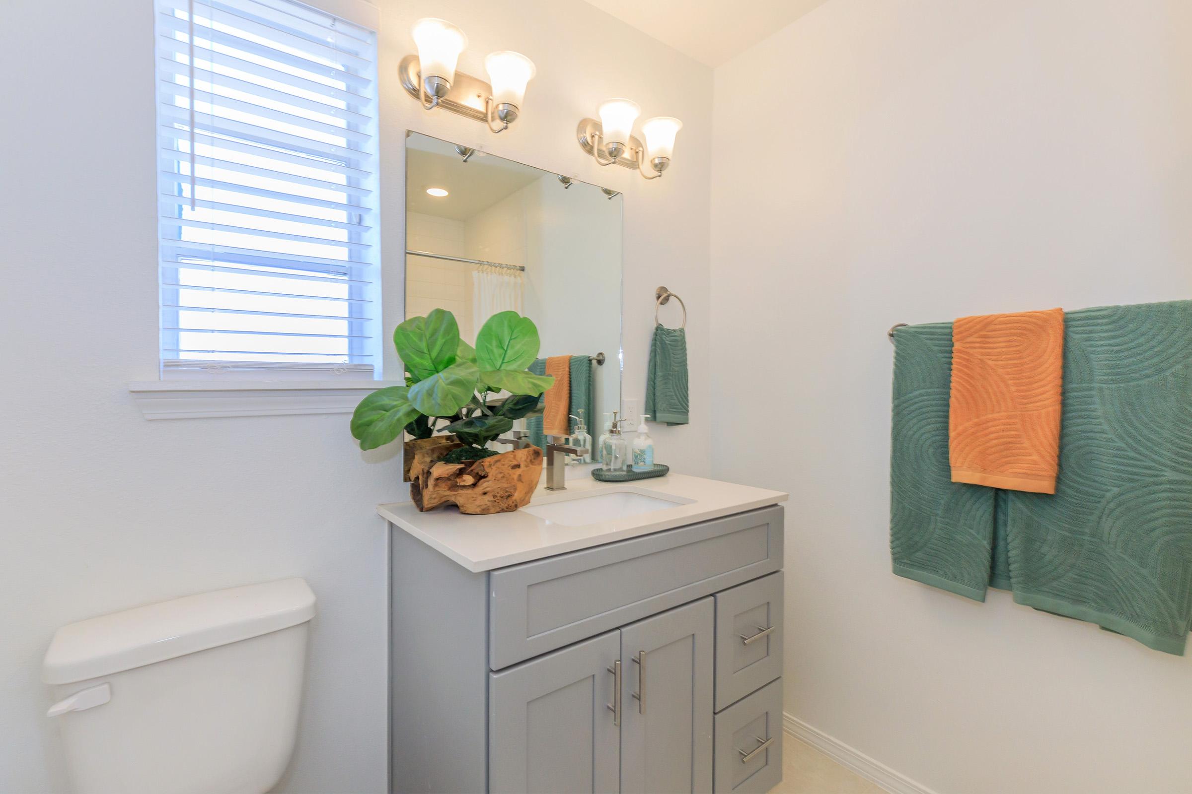 A modern bathroom featuring a gray vanity with a sink, a large mirror above it, and decorative items. A potted plant sits on the countertop, and towels in teal and orange hang on the wall. Natural light filters through a window with blinds, and a toilet is visible to the side.
