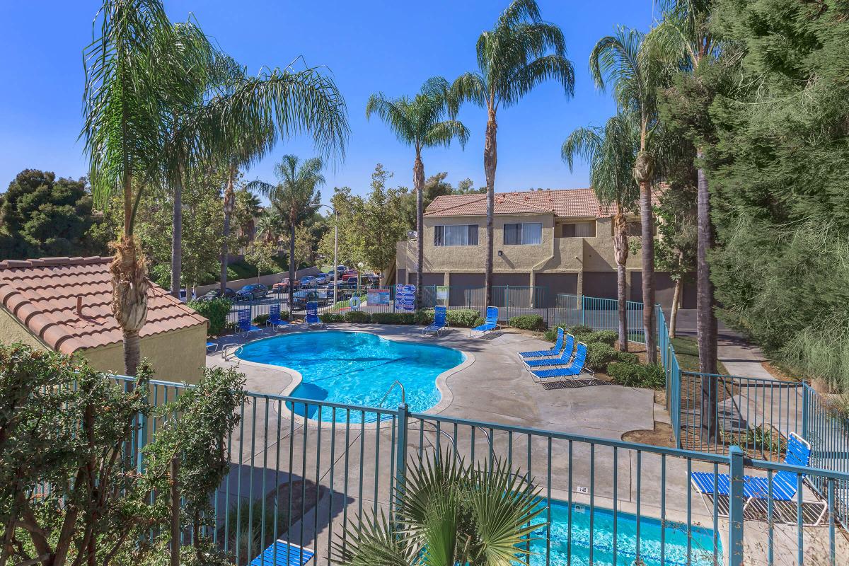 a group of palm trees and a fence