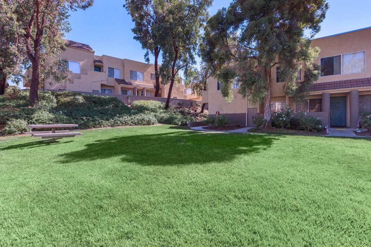 a large lawn in front of a house