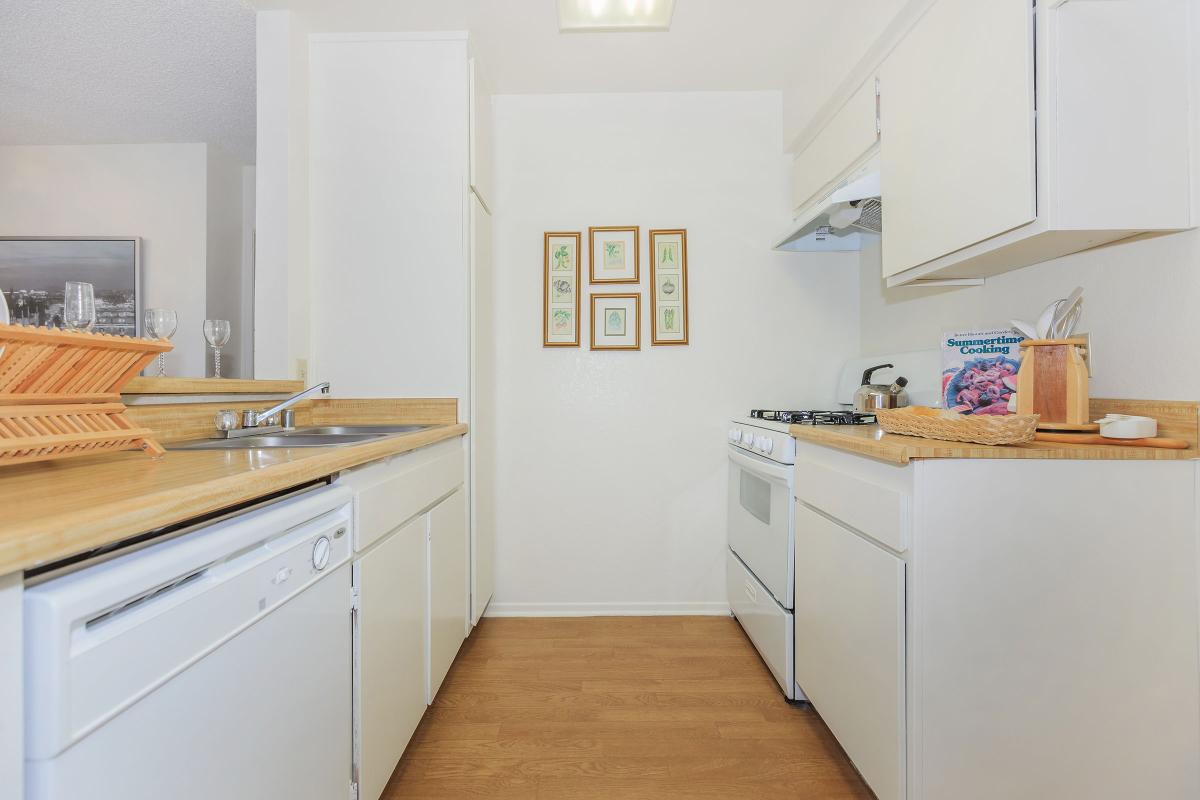 a kitchen with a stove sink and refrigerator