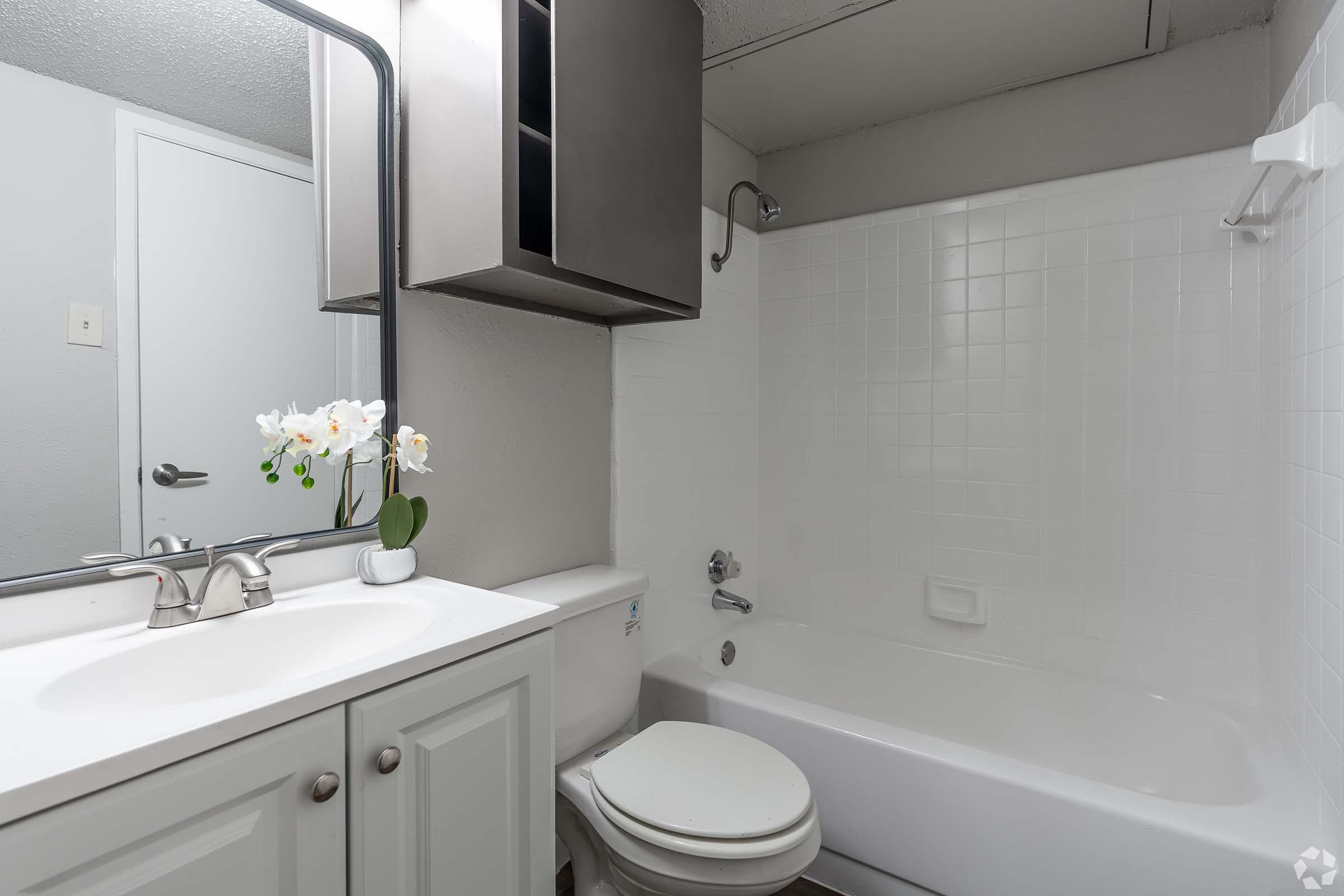 A clean bathroom featuring a white bathtub and shower combination, a modern sink with a mirror above, and a small cabinet. A potted orchid adds a touch of elegance on the countertop. The walls are painted in light gray, and there is a simple door leading to another room.
