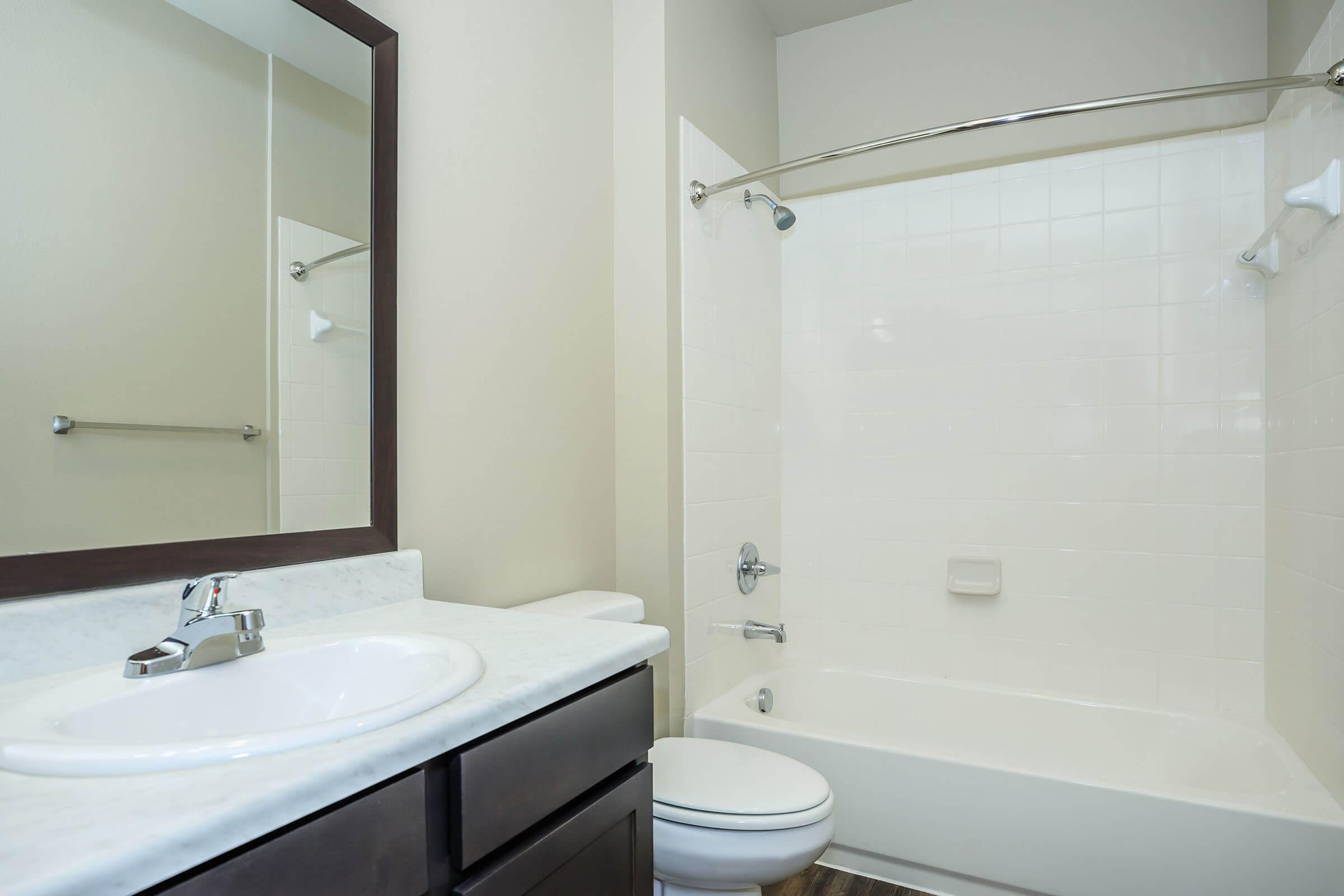 a shower that has a sink and a mirror