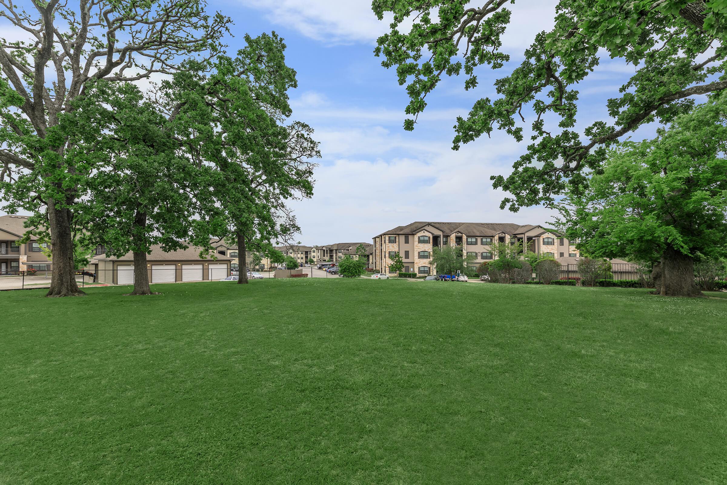 a large green field with trees in the background