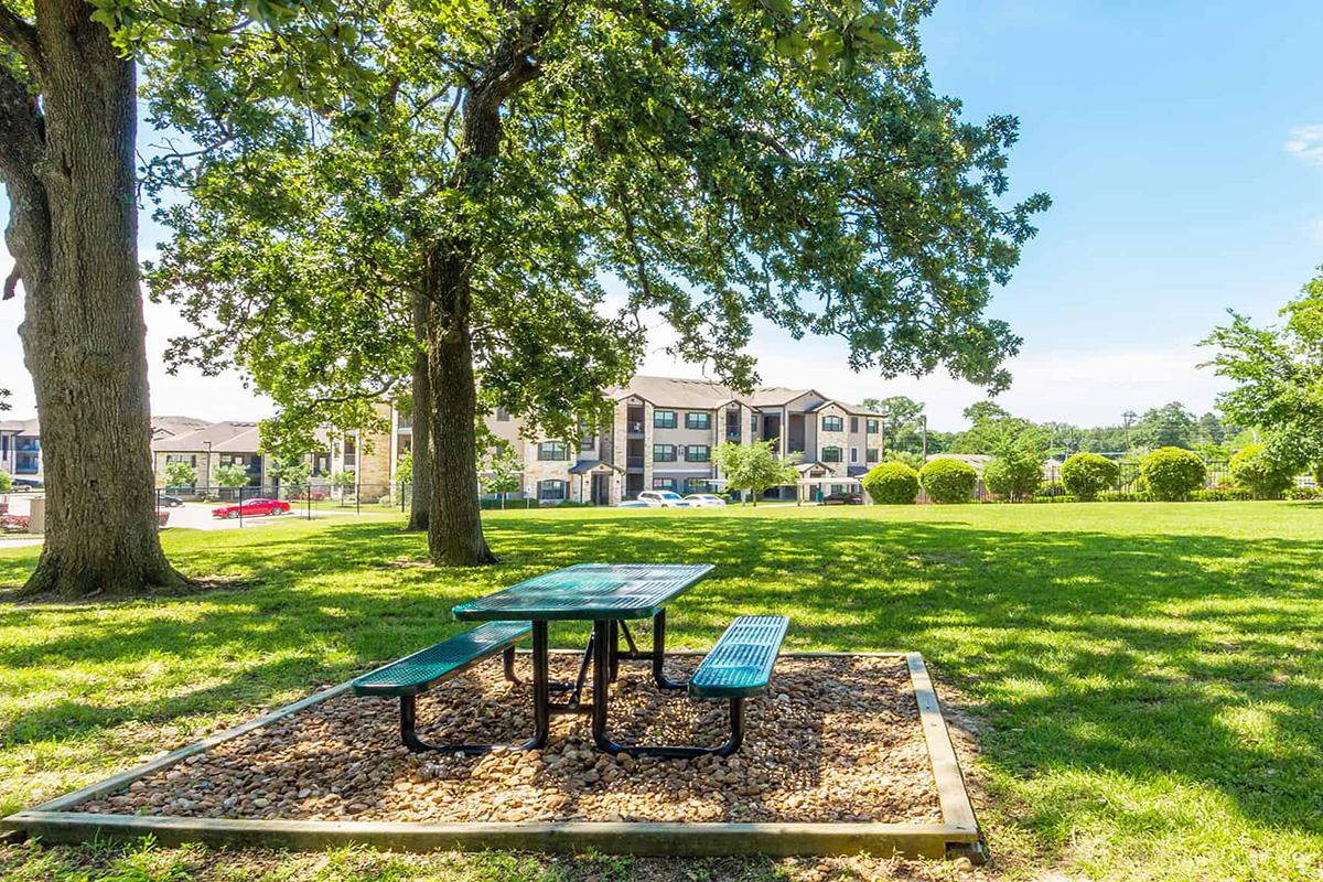 an empty park bench sitting in the grass