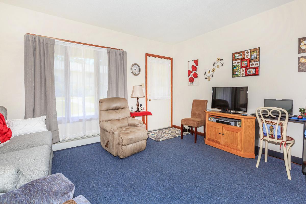 a living room filled with furniture and a rug