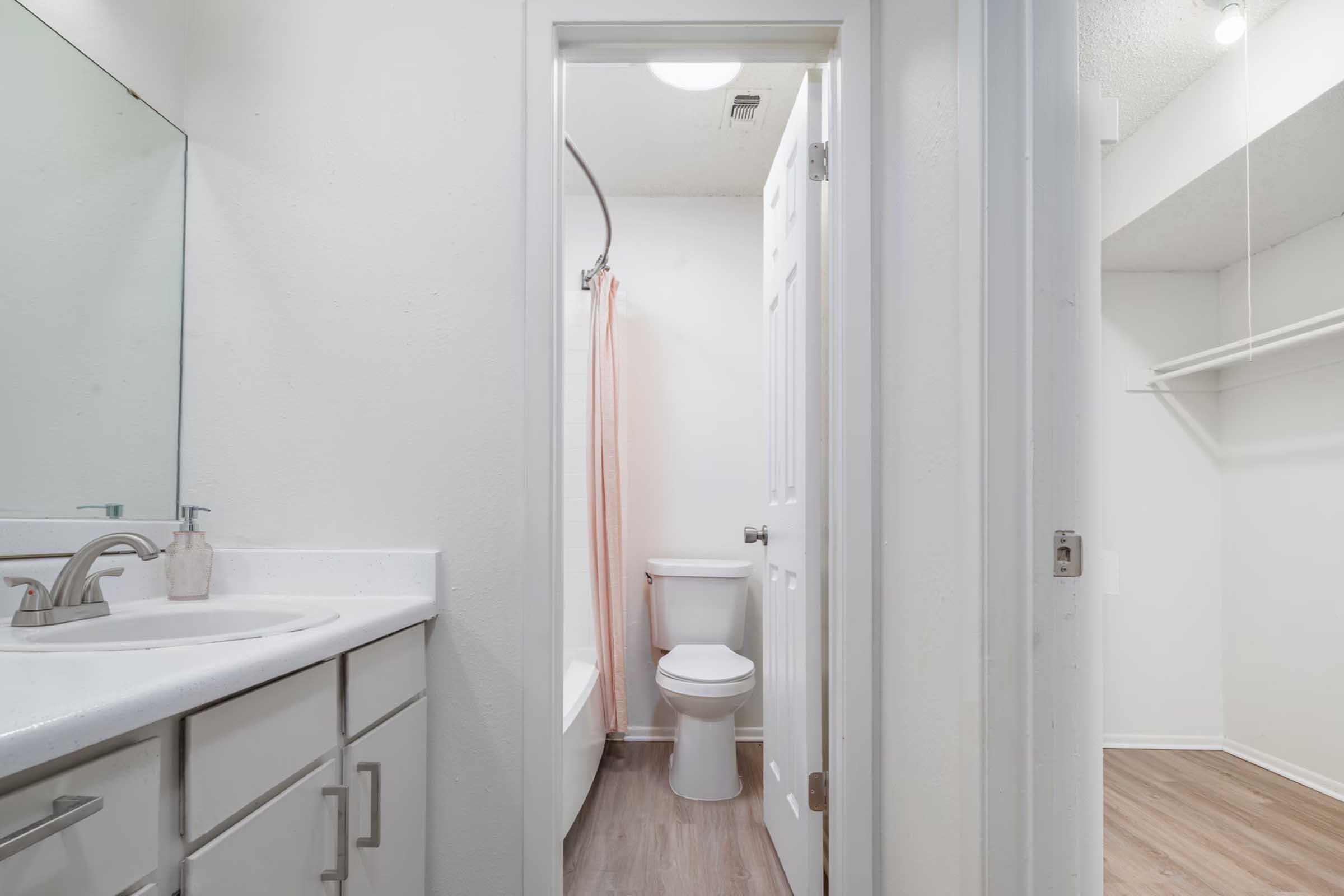 A small bathroom featuring a white sink with a mirror above, a shower with a pink curtain, a white toilet, and a closet space with a shelf. The walls are painted light, and the flooring is a wood-like material, giving a clean and modern appearance.