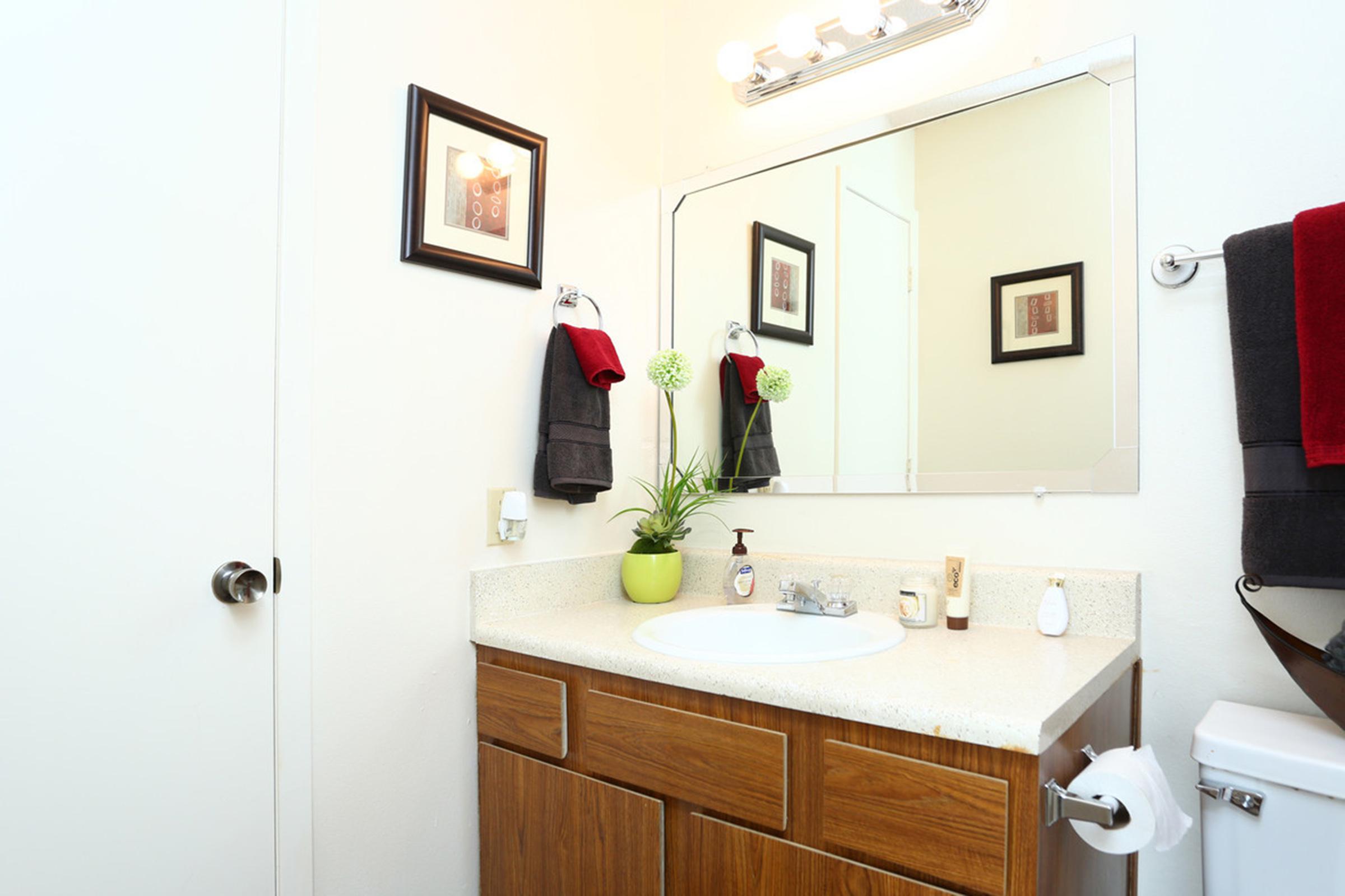 Bathroom shot.jpg