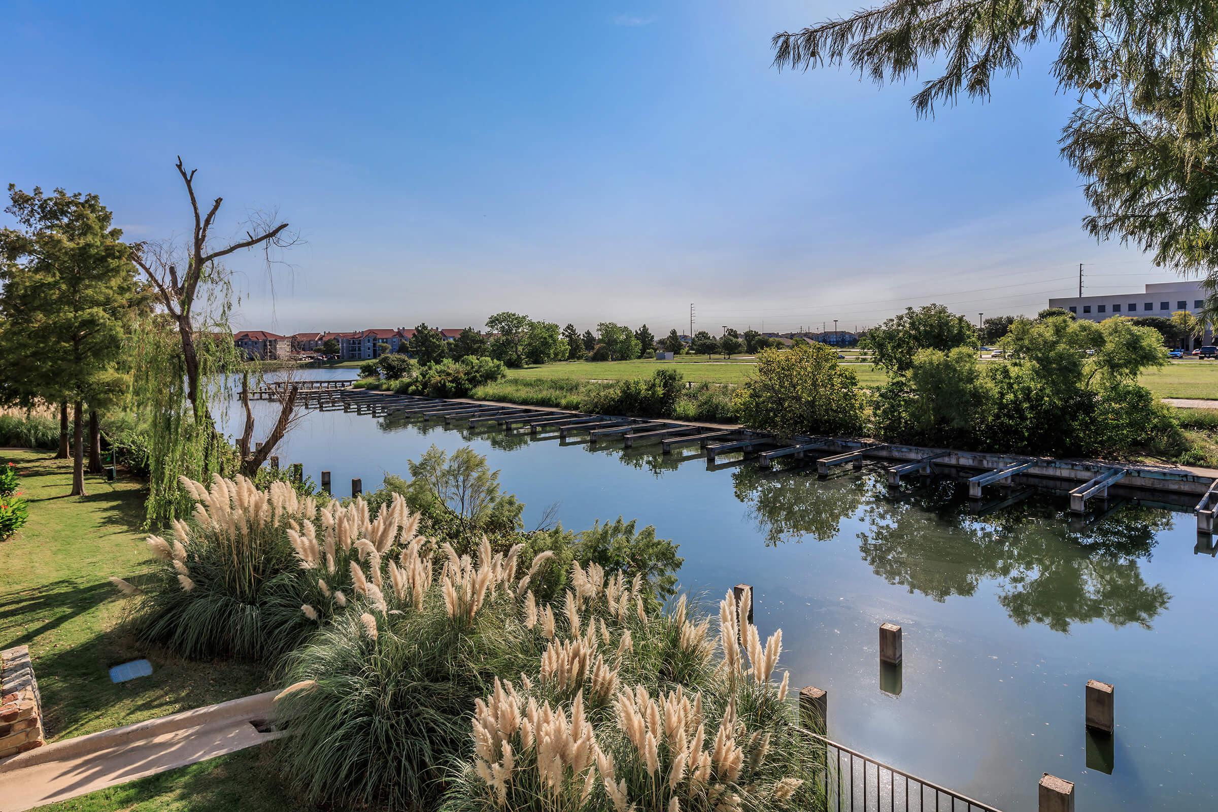 a large body of water surrounded by green bushes