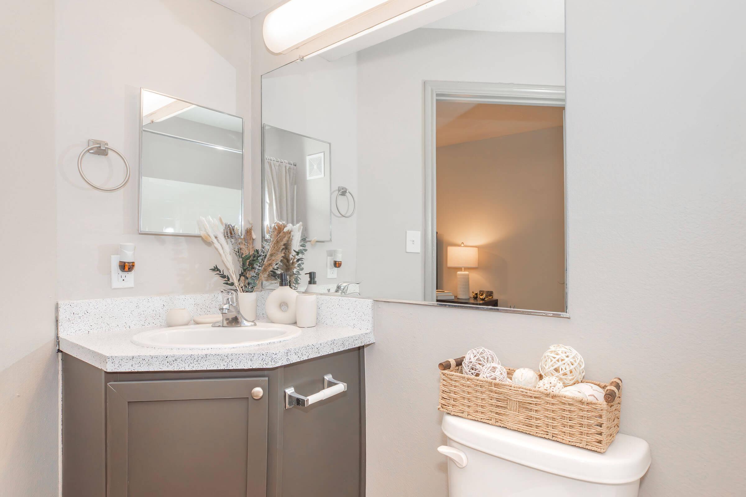 A modern bathroom featuring a light-colored countertop with a sink, a mirror above, and decorative items like a vase with dried flowers. A woven basket containing decorative spheres sits beside a white toilet. The walls are a soft gray, and a door leading to another room can be seen in the mirror's reflection.