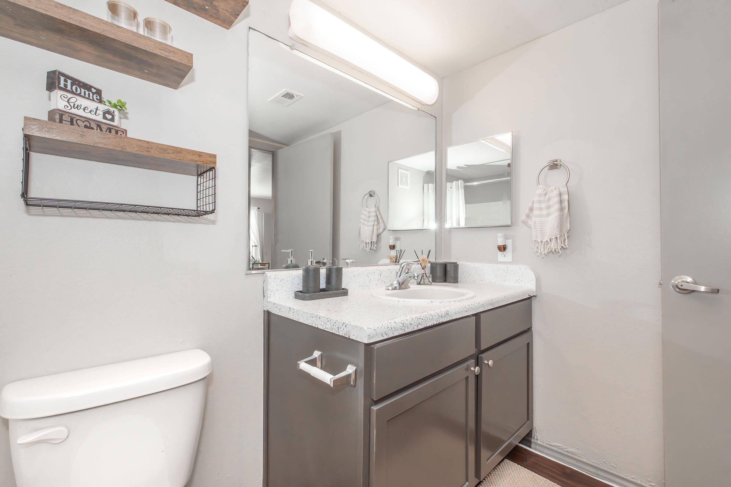 A modern bathroom featuring a gray vanity with a countertop sink, a large mirror with overhead lighting, a toilet, and decorative shelving with a small plant and stylish accent items. The walls are painted light gray, creating a clean and spacious look.
