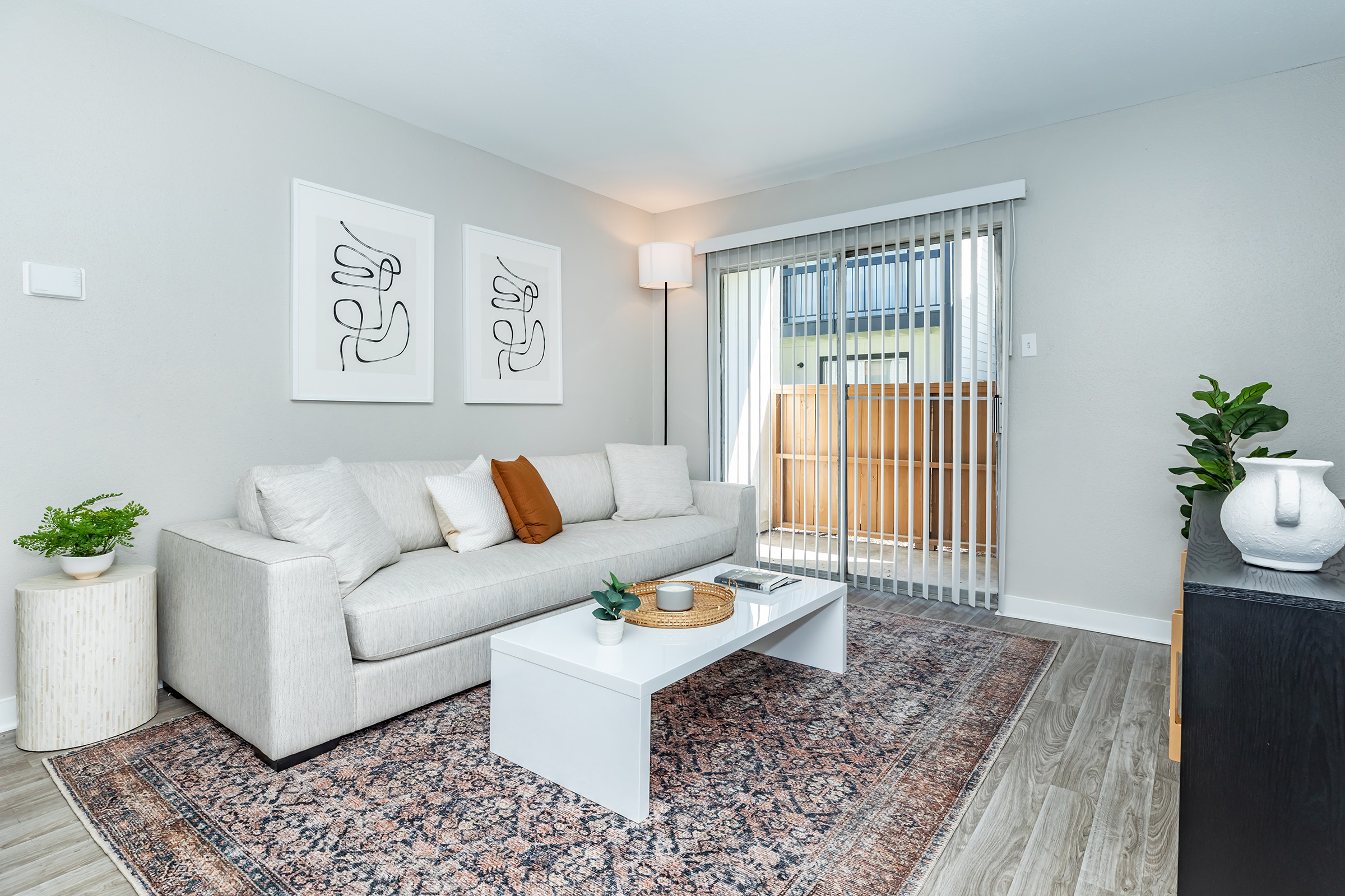 Apartment Features
