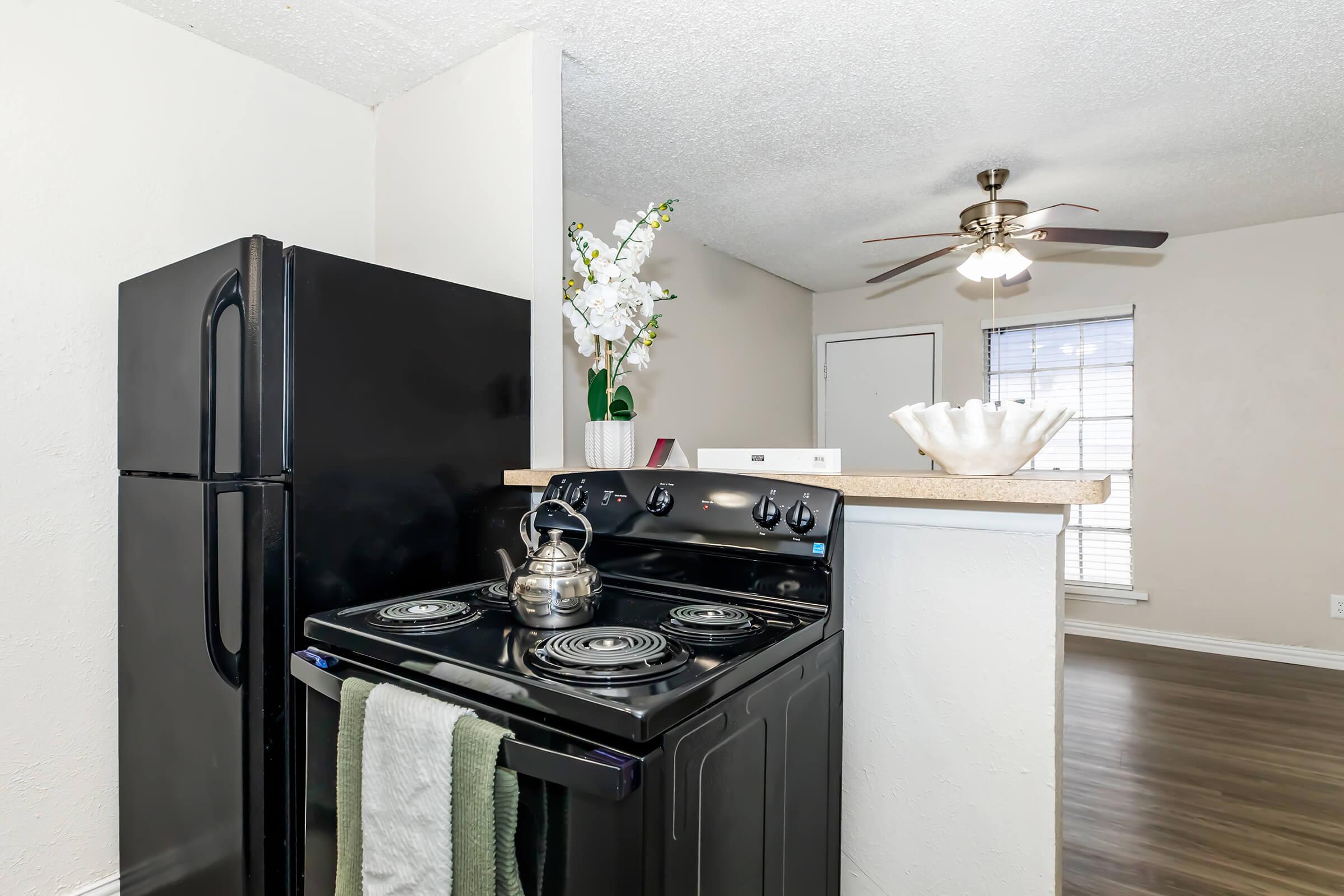 A modern kitchen featuring a black stove with a kettle on it, a black refrigerator, and a light-colored countertop. There is a vase with flowers and a decorative shell on the counter. The background shows a ceiling fan and a window with blinds. The space is well-lit and designed for functionality.