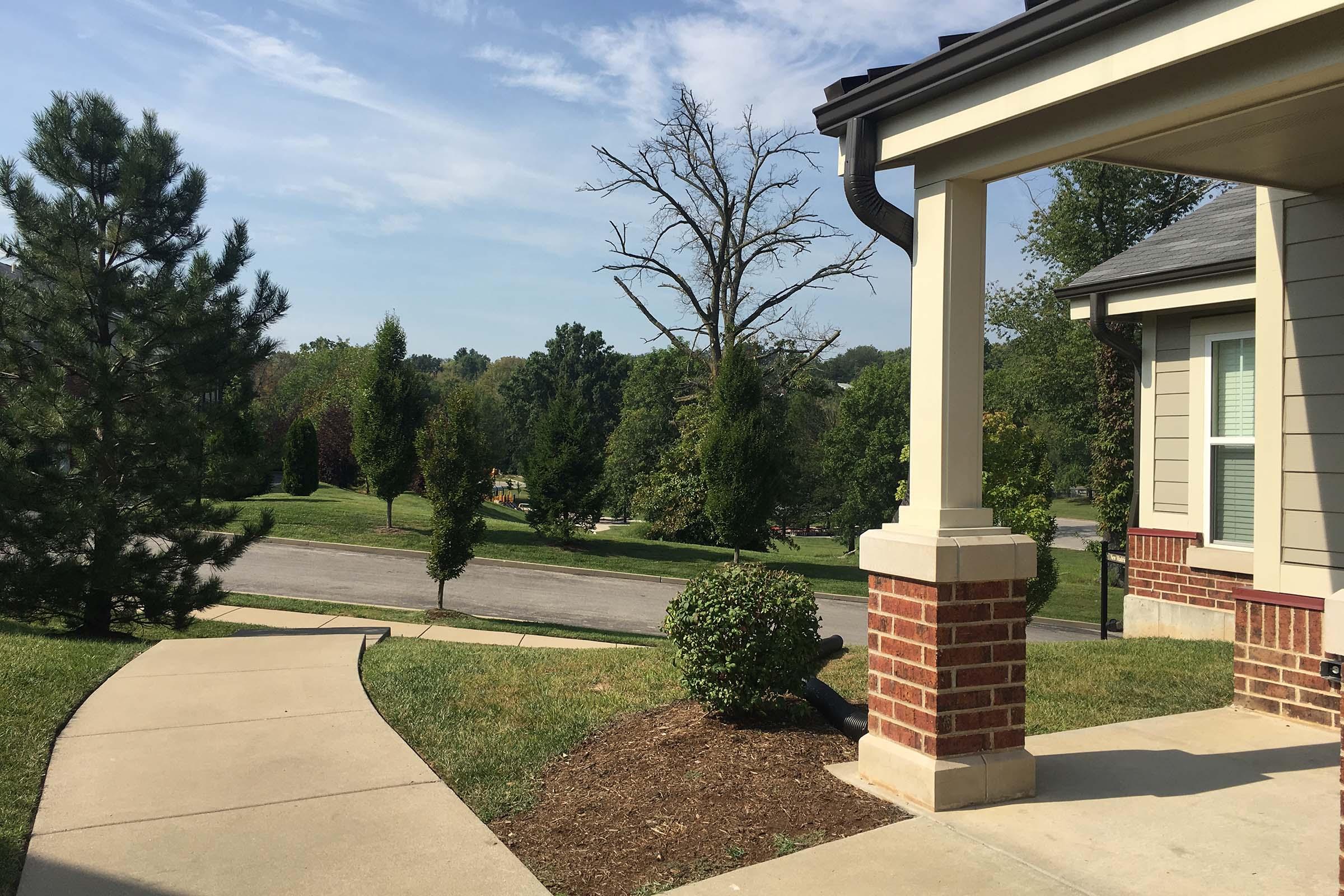 A view from a porch showing a winding sidewalk leading to a street. In the background, there are trees and a clear blue sky, with a mixture of green foliage and a prominent barren tree. The scene depicts a peaceful suburban neighborhood with neatly maintained landscaping.