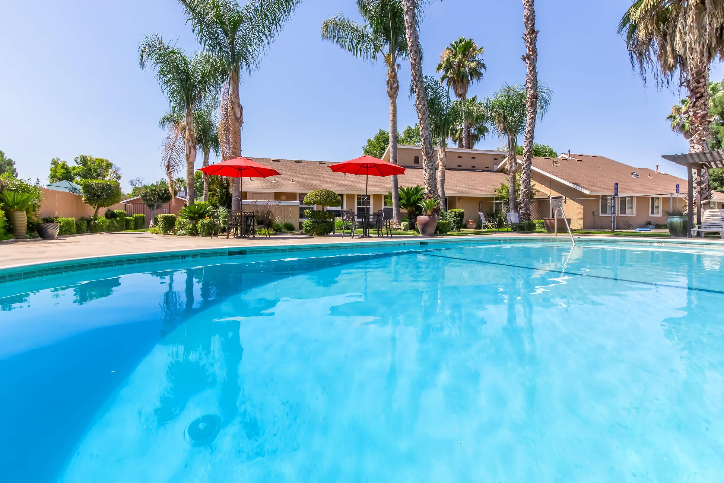 A clear swimming pool surrounded by palm trees and red umbrellas, with a residential area in the background. The sky is bright blue, creating a sunny atmosphere, and the pool water appears inviting and clean. Lounge chairs are arranged near the pool for relaxation.