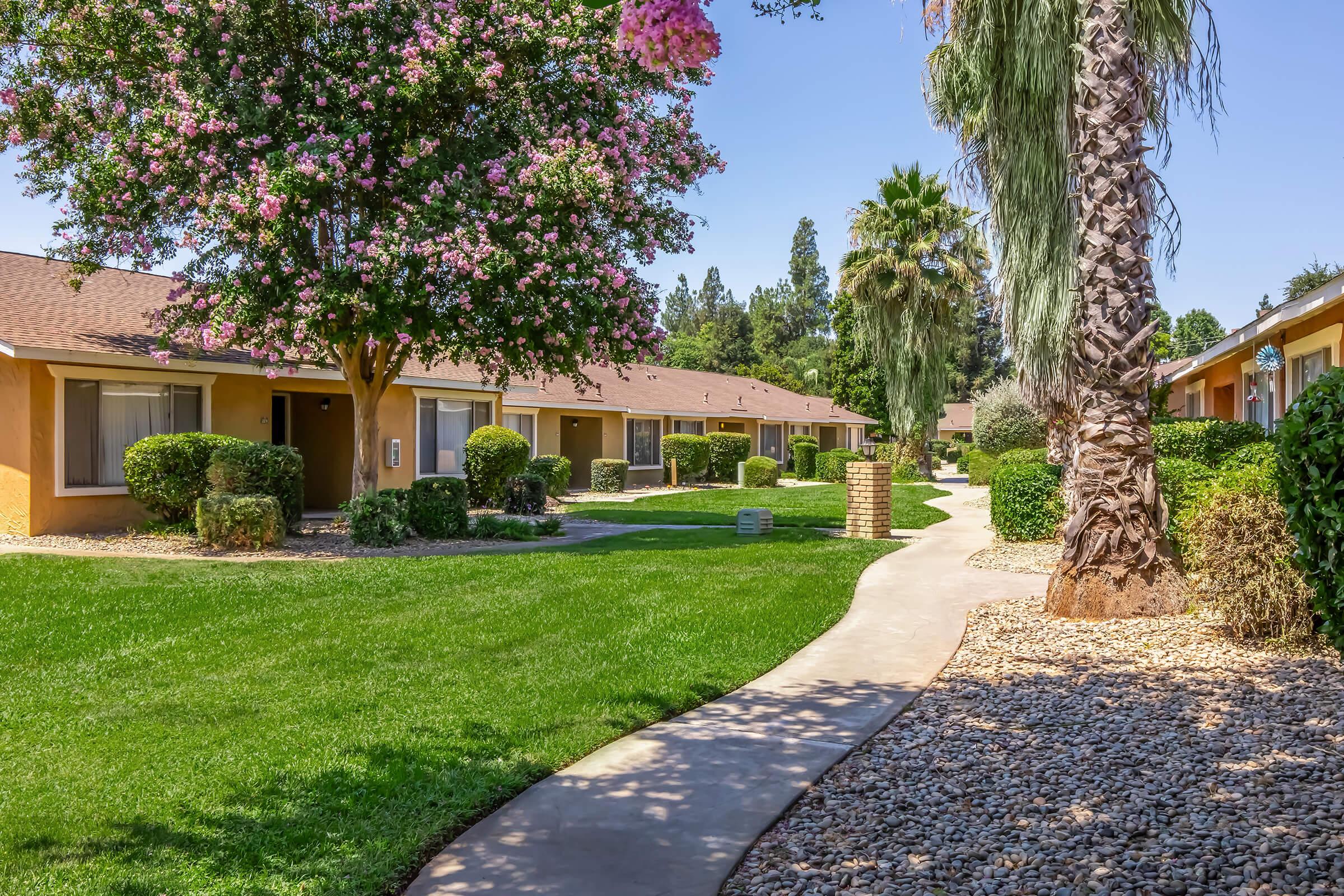 A landscaped pathway winds through a well-kept courtyard featuring blooming pink trees and palm trees. There are several single-story apartment units with manicured shrubs and grass lining the walkway. The scene is bright and sunny, depicting a tranquil residential environment.