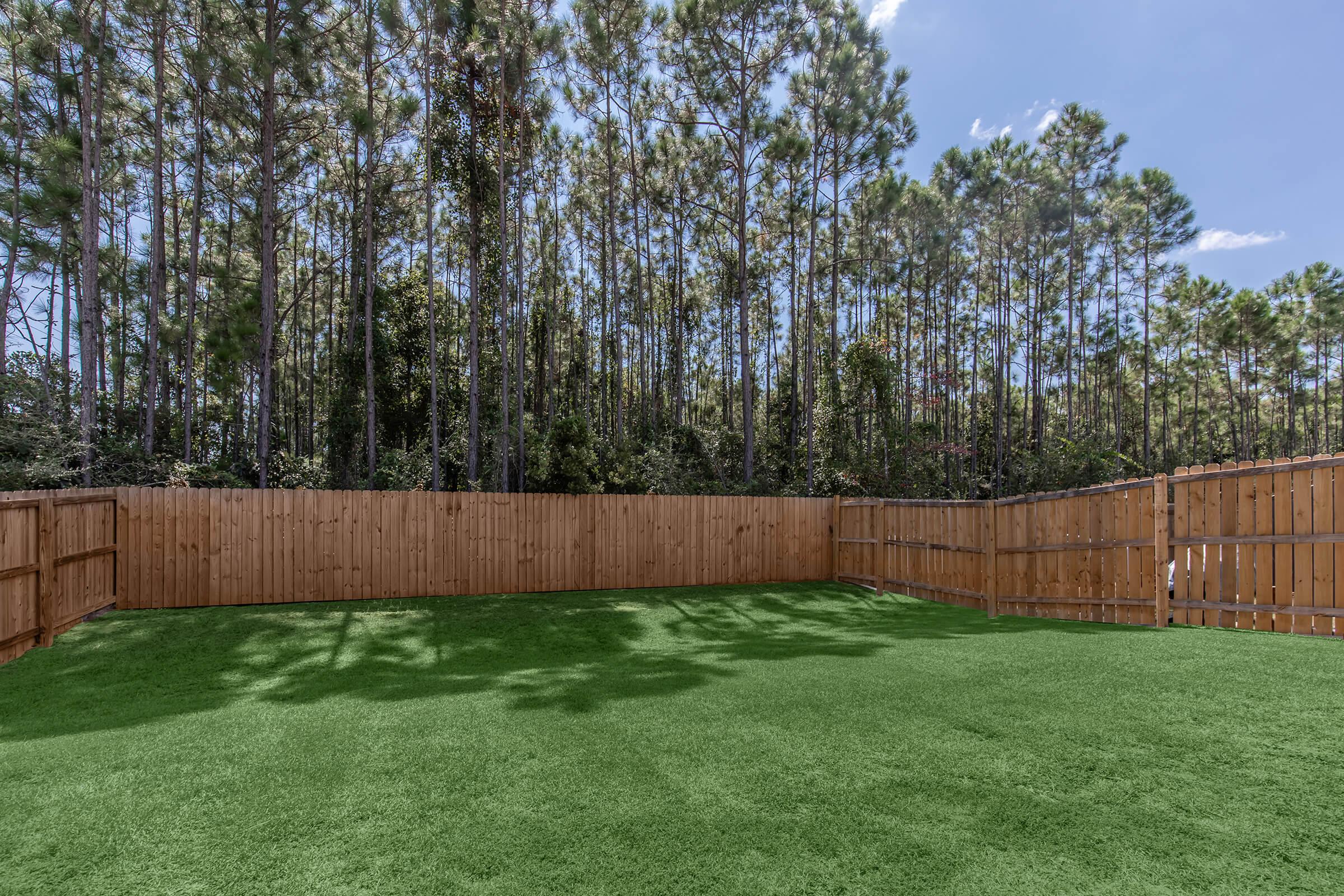 A spacious backyard with lush green grass enclosed by a wooden fence. Tall pine trees are visible in the background, providing a natural setting. The sky is clear with a few clouds, creating a bright and inviting atmosphere.