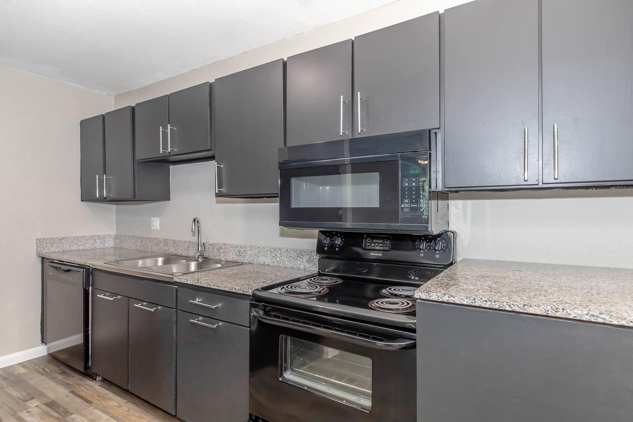 Modern kitchen featuring black cabinet doors, granite countertops, and stainless steel appliances including a microwave and oven. The space is well-lit, showcasing a sink and ample storage solutions, with a clean and contemporary design.