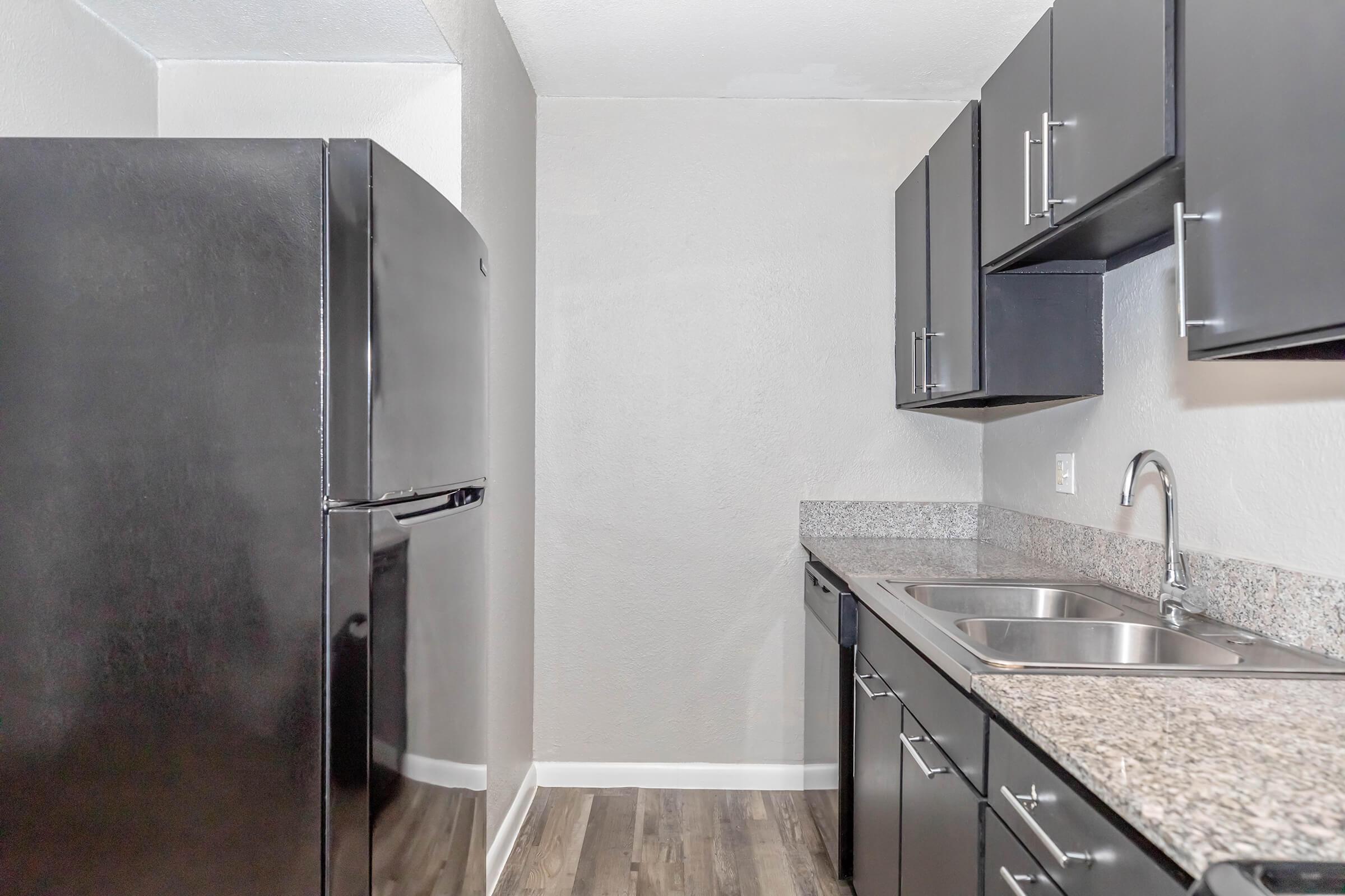 A modern kitchen featuring black cabinetry, a black refrigerator, stainless steel sinks, and a granite countertop. The walls are light gray, and the flooring has a wood-like appearance. The space is bright and uncluttered, emphasizing a clean and contemporary design.