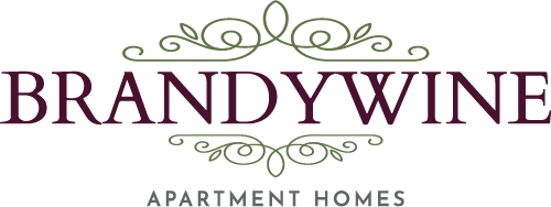 Brandywine ebrochure logo