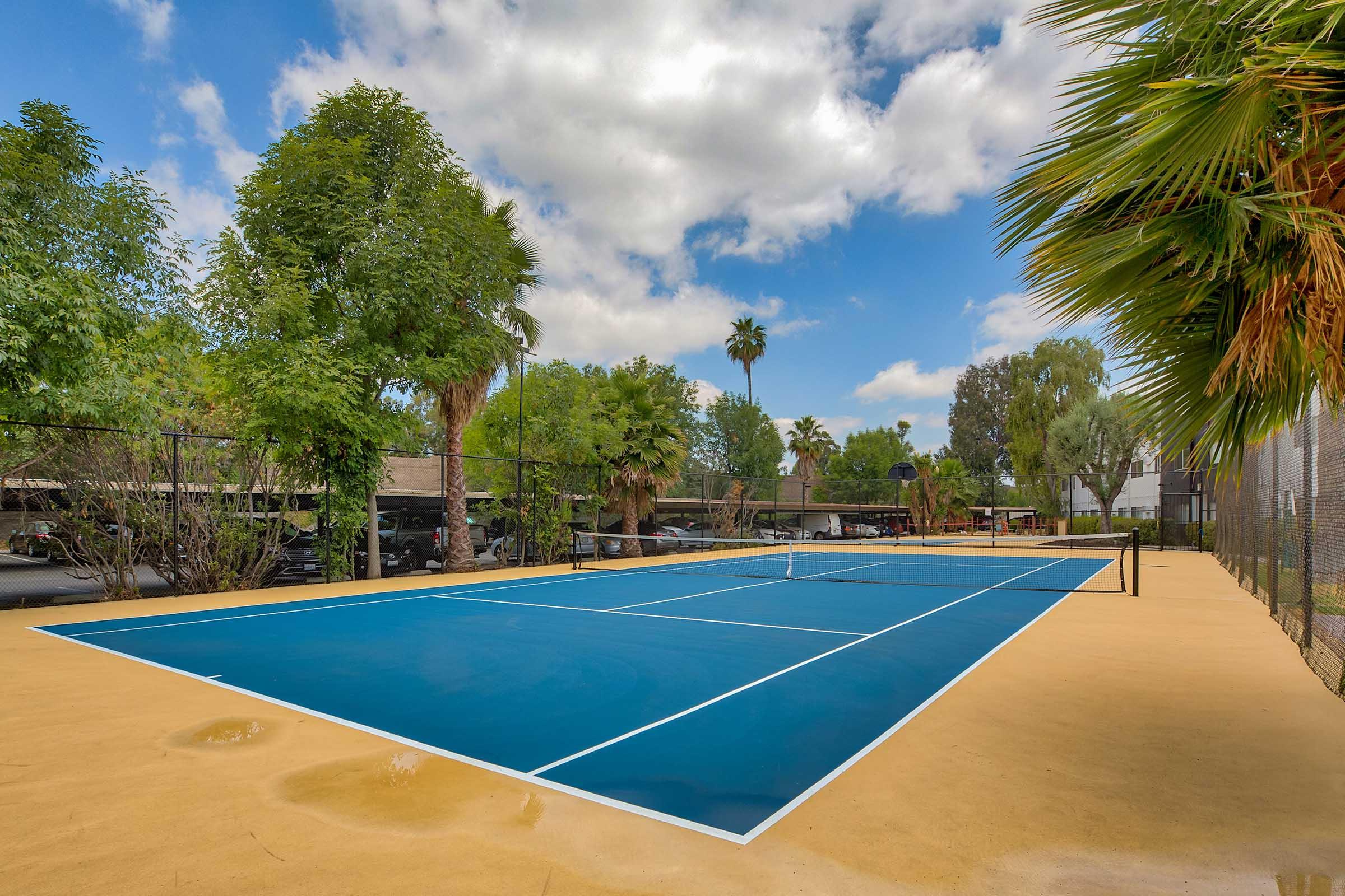 a tennis court with trees