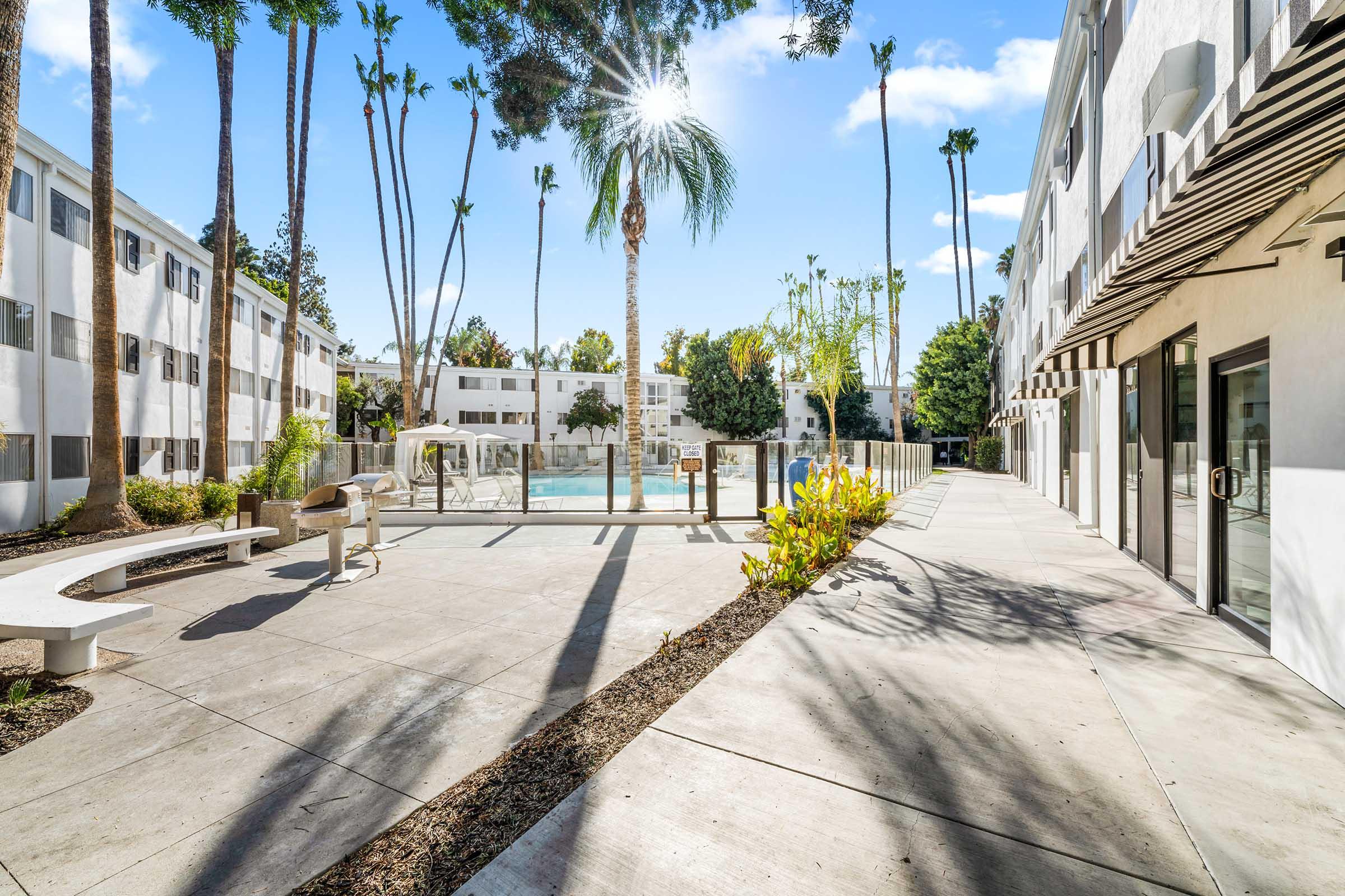 palms trees and a pool next to a building