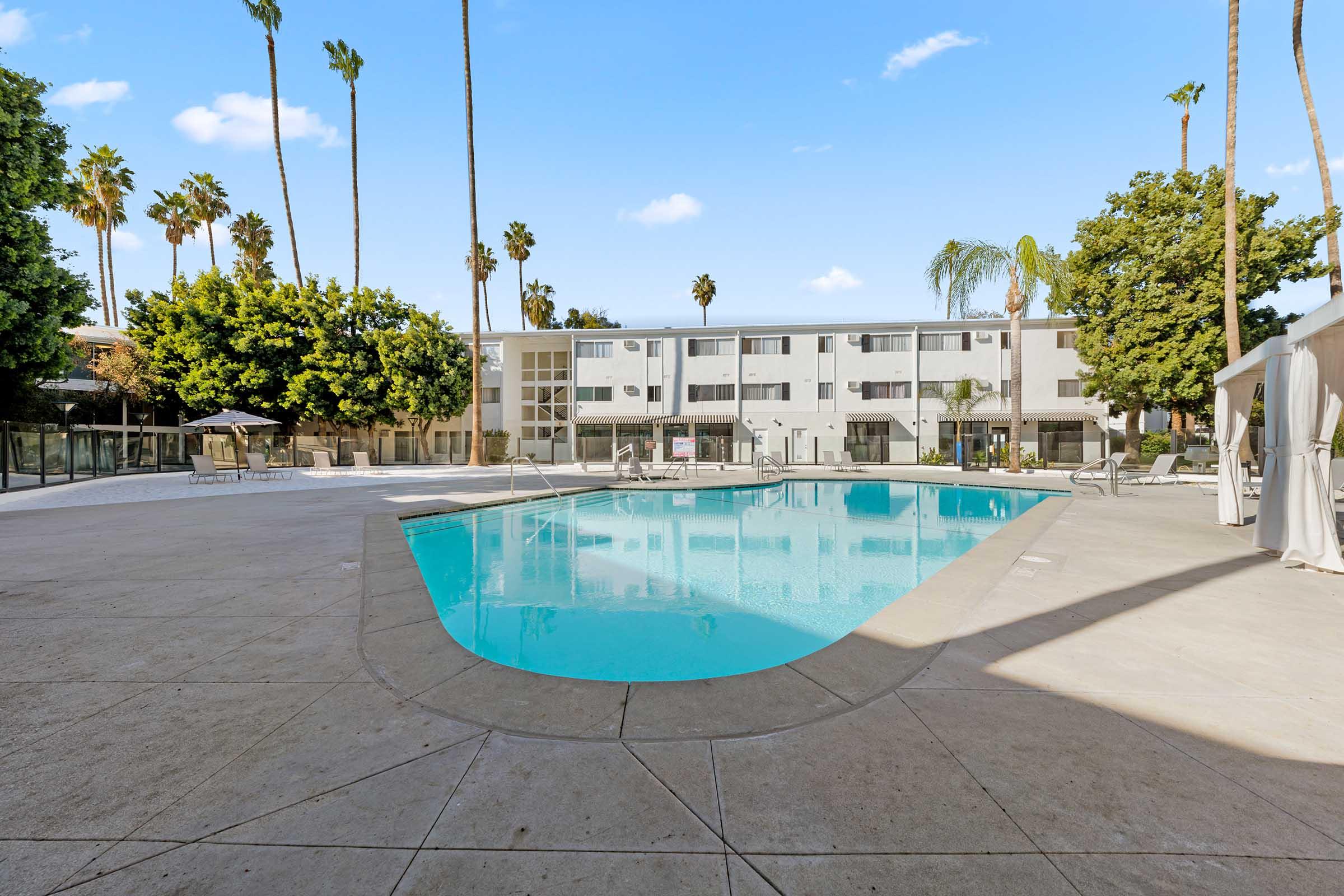 a swimming pool deck with palm trees