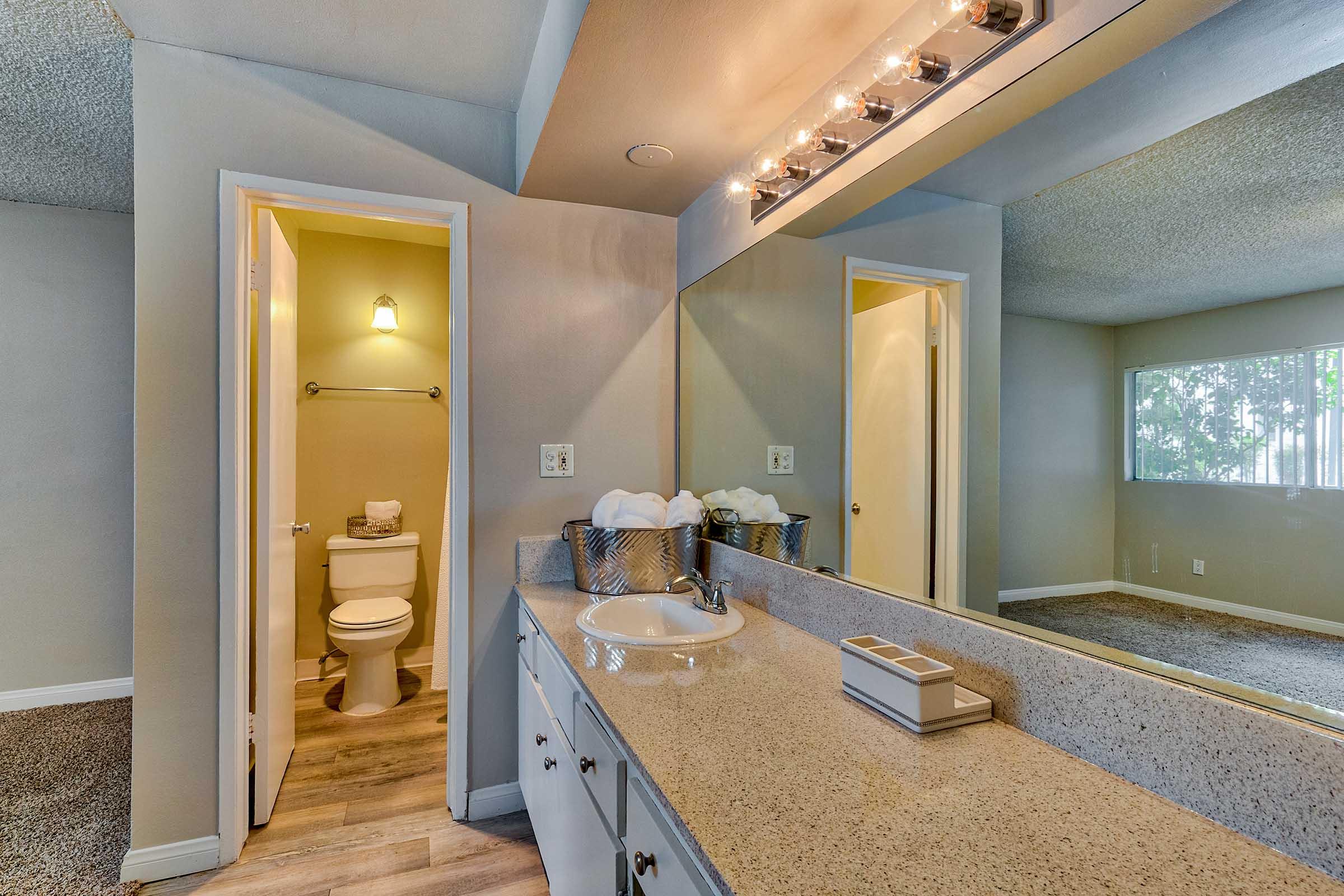 a bathroom with a large mirror and vanity