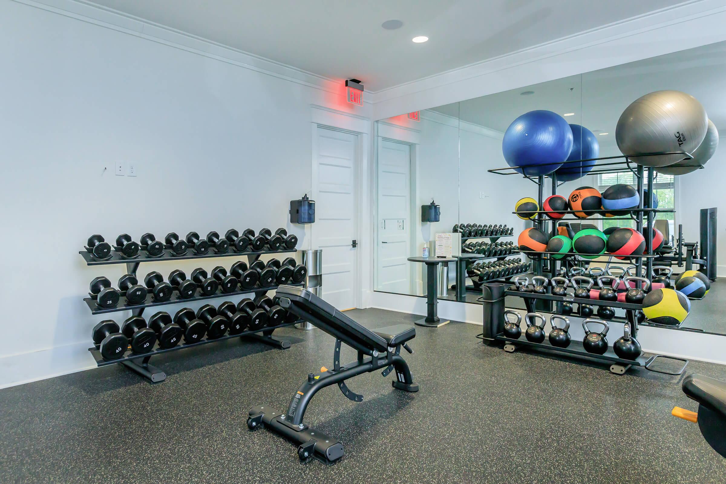 A modern gym interior featuring a wall of dumbbells, a weight bench, and a rack of colorful medicine balls. The space includes fitness equipment, mirrors, and a sleek black floor, creating a vibrant yet functional workout environment.