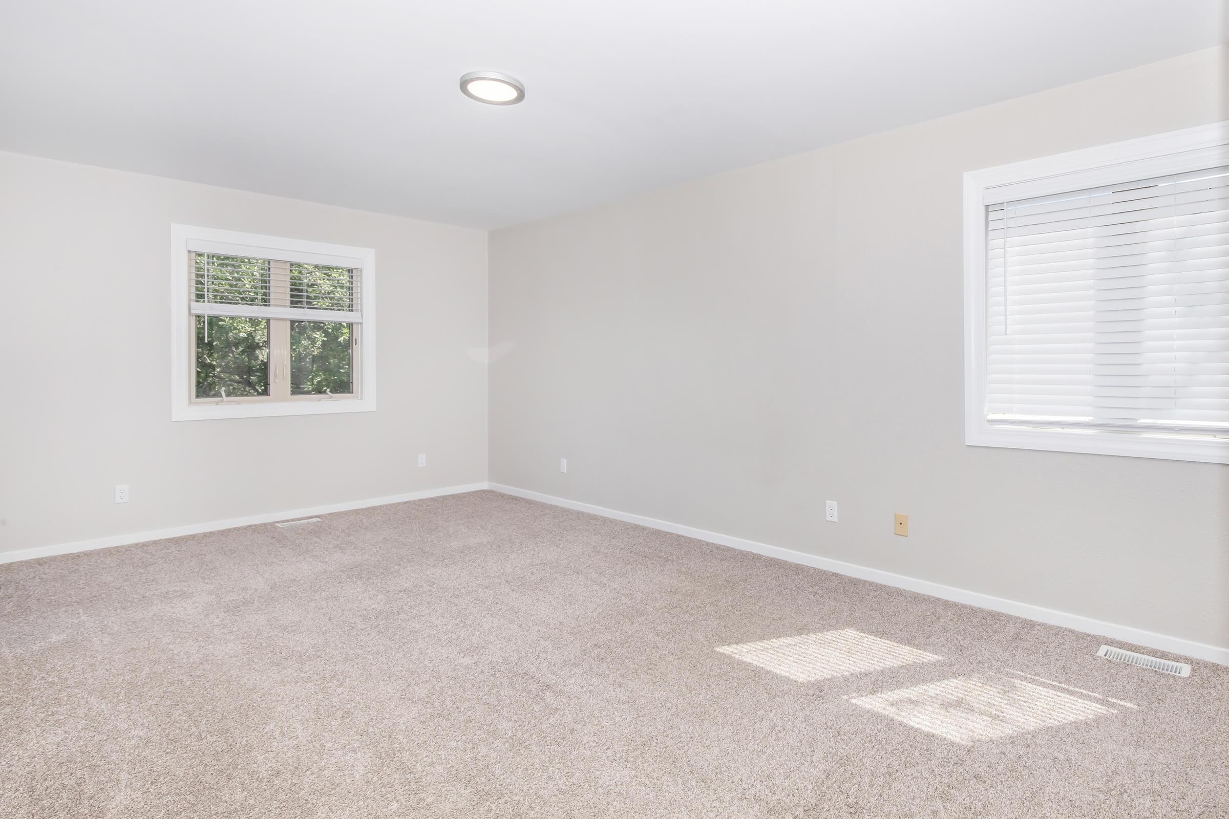Empty room with light-colored walls and a beige carpet. There is a window on the left side with white blinds, allowing natural light to enter. The space is bright and uncluttered, creating a spacious feel. A ceiling light fixture is present, enhancing the illumination in the room.