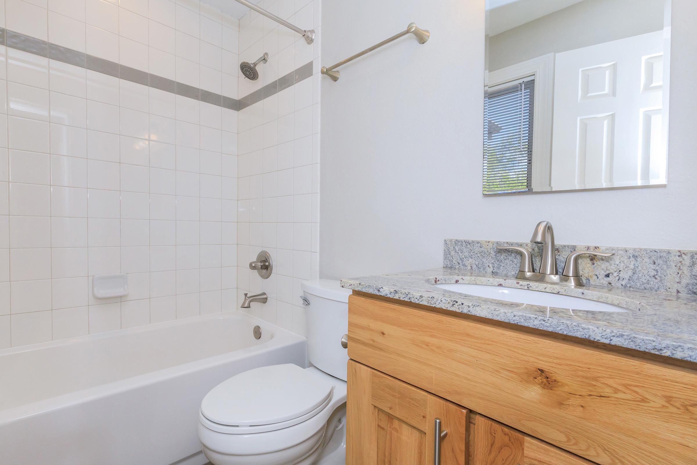 A modern bathroom featuring a white tile shower with a gray stripe, a clean bathtub, a wooden vanity with a granite countertop, a sink, a toilet, and a large mirror. Natural light filters through a nearby window, and a door is visible in the background.
