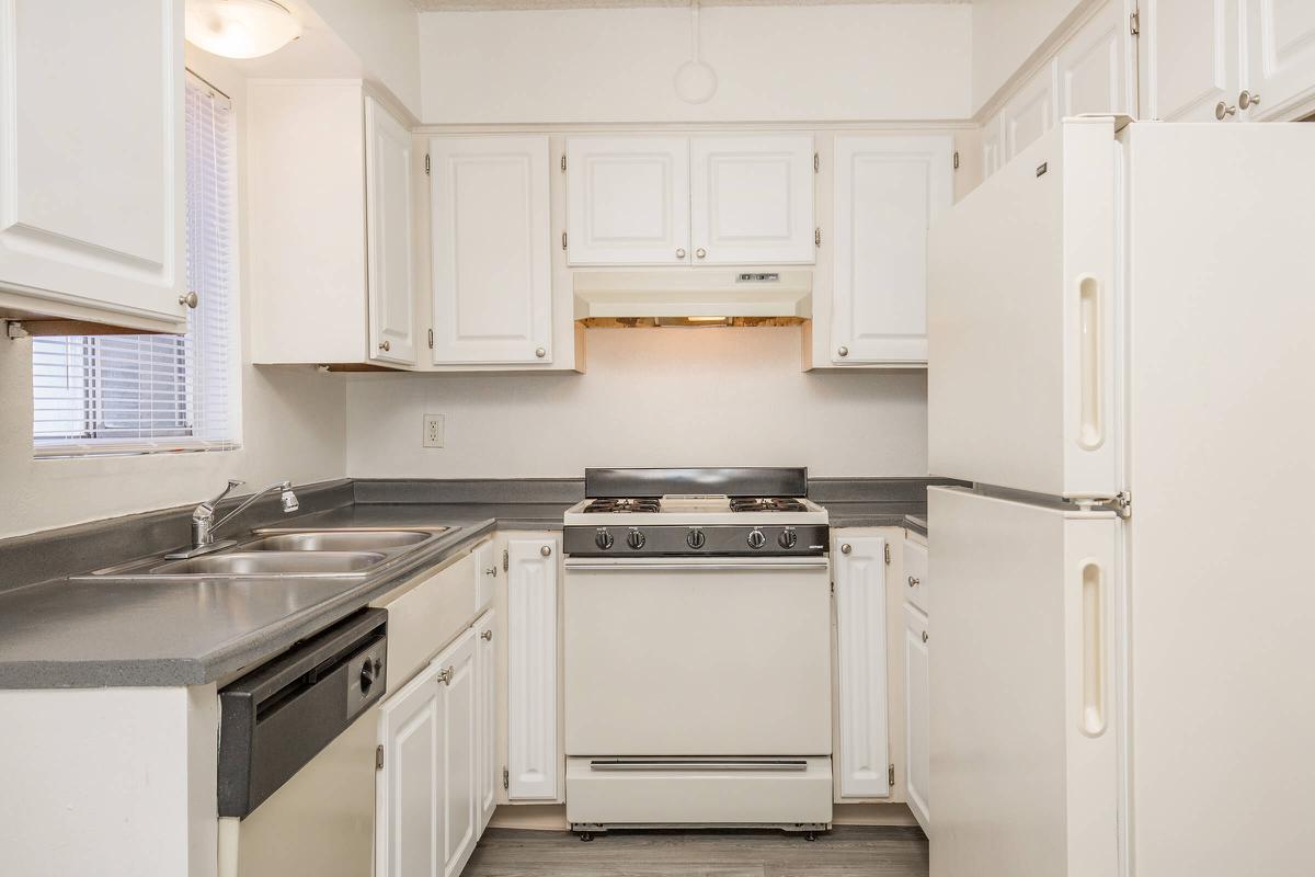 a kitchen with a stove and a refrigerator