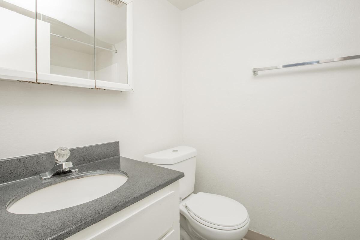 a white sink sitting under a mirror
