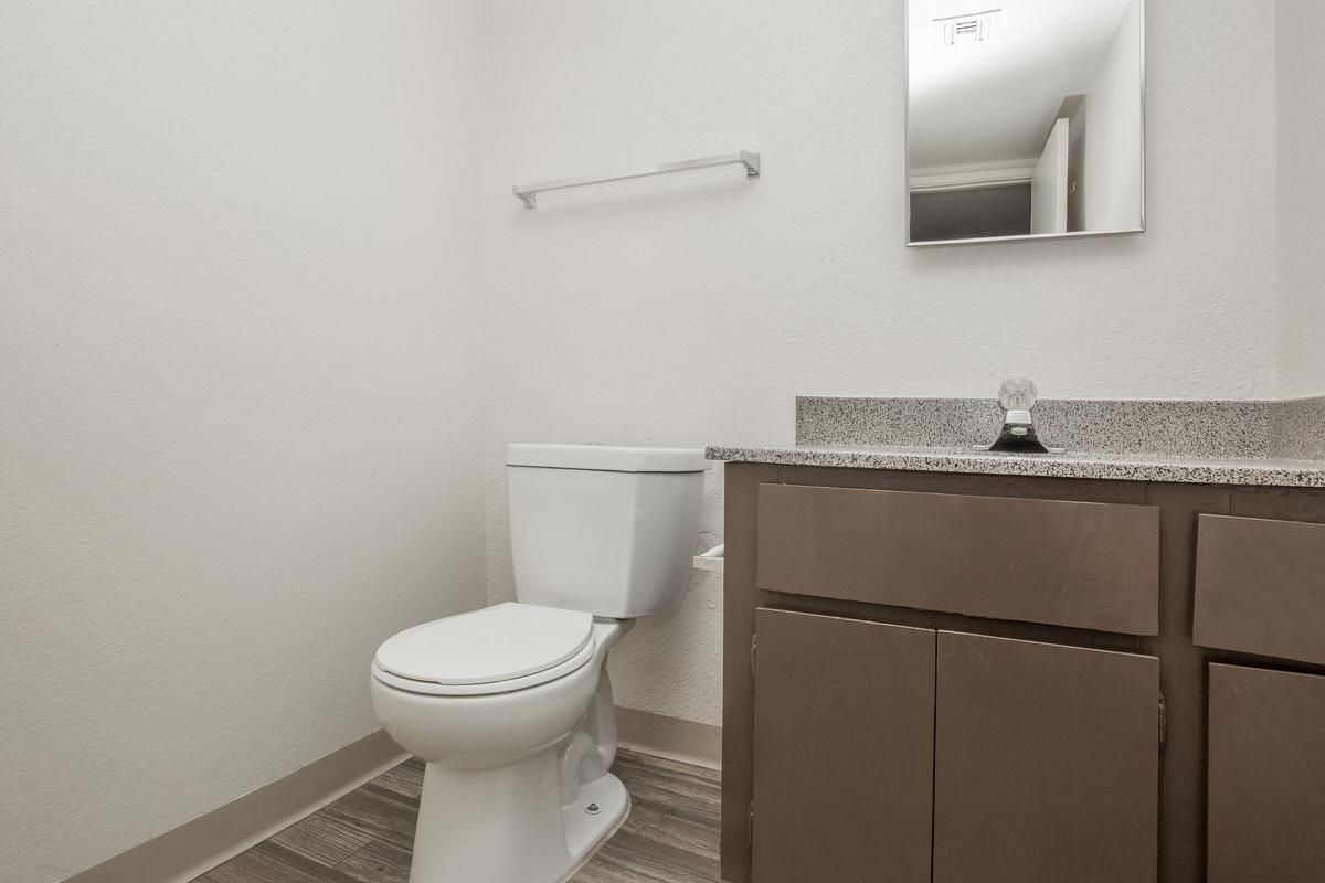 a white sink sitting under a mirror