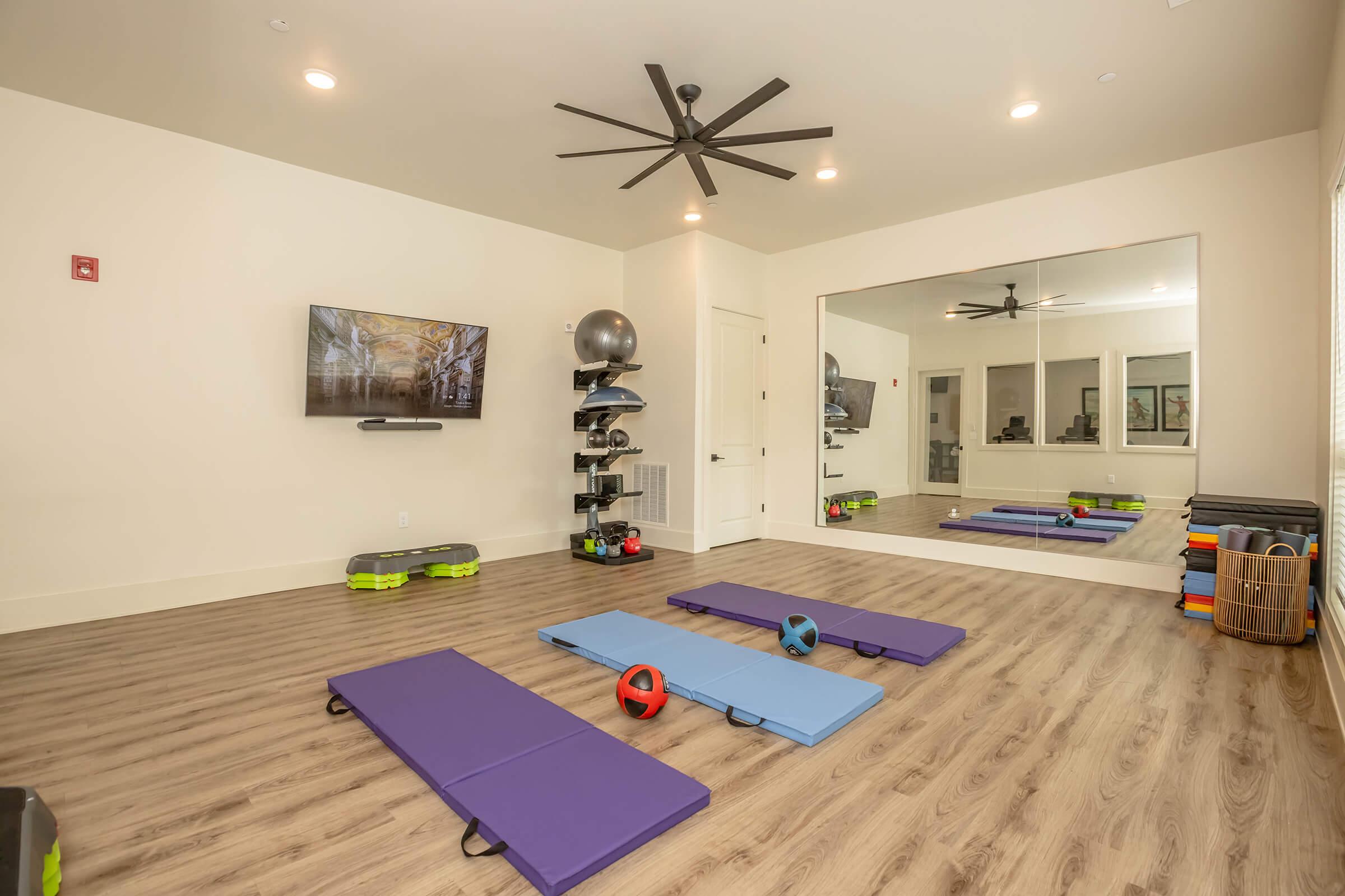 A fitness room featuring exercise mats in blue and purple, small weighted balls, a large mirror, a television on the wall displaying artwork, a fan on the ceiling, and shelves with fitness equipment. The space is well-lit with a modern design and wooden flooring.