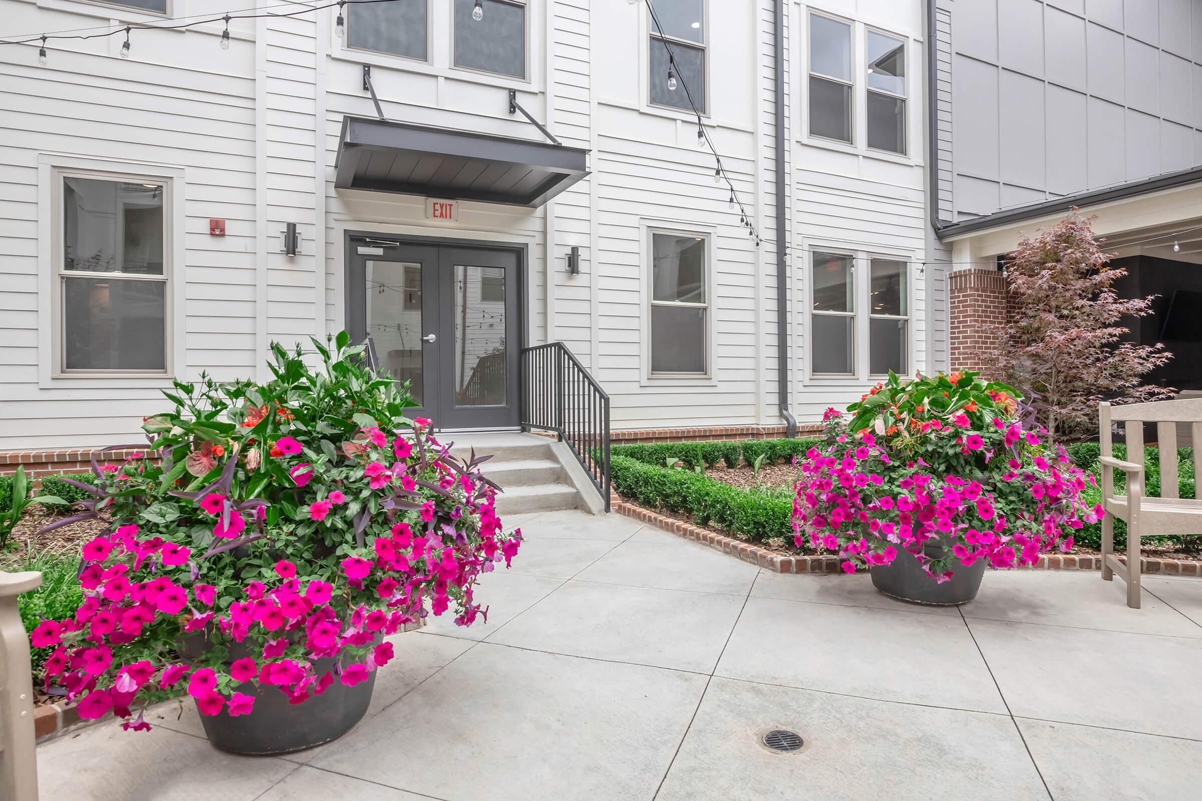 A well-maintained outdoor area featuring large, vibrant pink and purple flower pots, greenery, and a pathway leading to a modern building entrance. Stylish seating is arranged nearby, creating a welcoming atmosphere. The setting is bright and inviting, perfect for enjoying the outdoors.