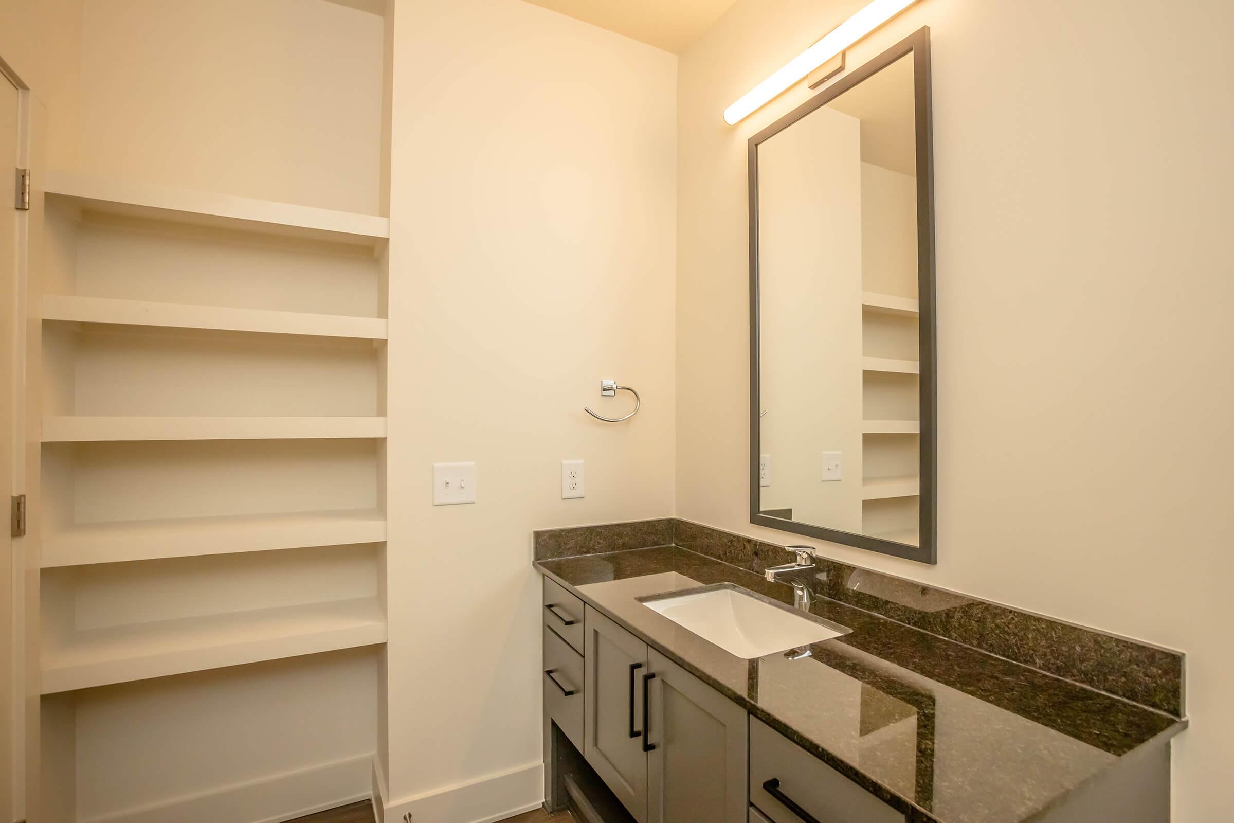A modern bathroom featuring a sleek vanity with a sink and a large mirror. The walls are painted a light color, complemented by dark cabinetry. Shelving is built into one wall, providing storage space. Soft lighting illuminates the area, creating a clean and inviting atmosphere.