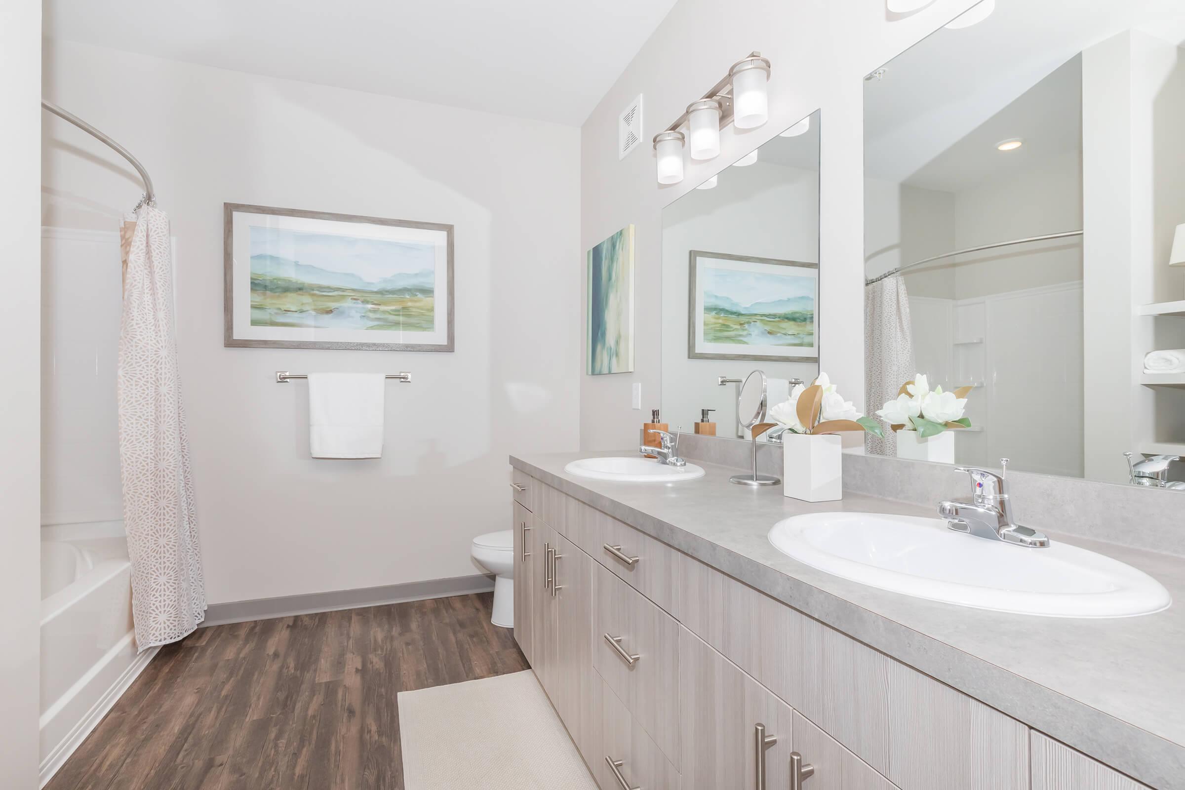 a double sink and large mirror