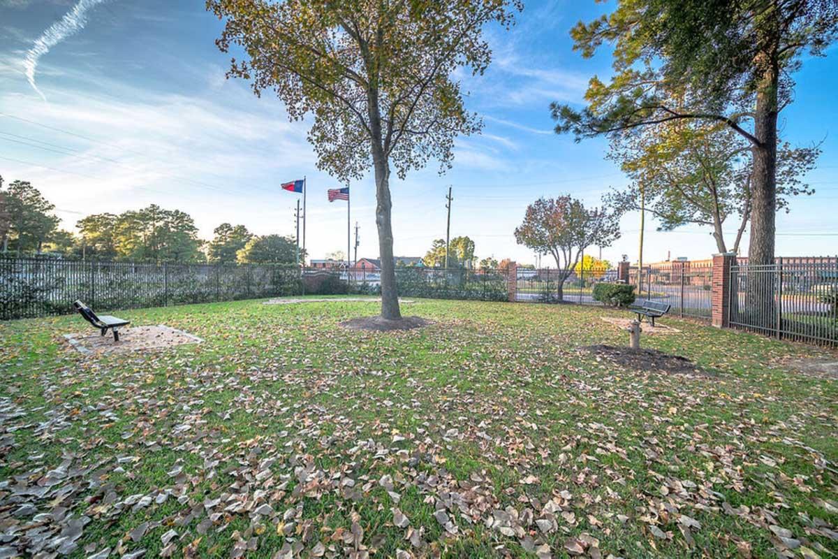 A grassy area enclosed by a fence, featuring a large tree in the center and scattered fallen leaves. There are benches on either side and flags visible in the background, indicating a park-like setting. The sky is clear with a few clouds, showcasing a pleasant daytime atmosphere.