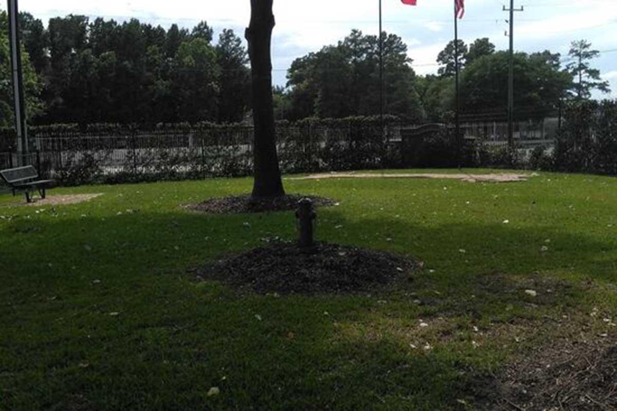 A grassy park area with a tree in the center, a visible fire hydrant surrounded by mulch, and a bench in the foreground. In the background, there are flags flying and a fenced area, with trees and power lines visible. The sky is partly cloudy.