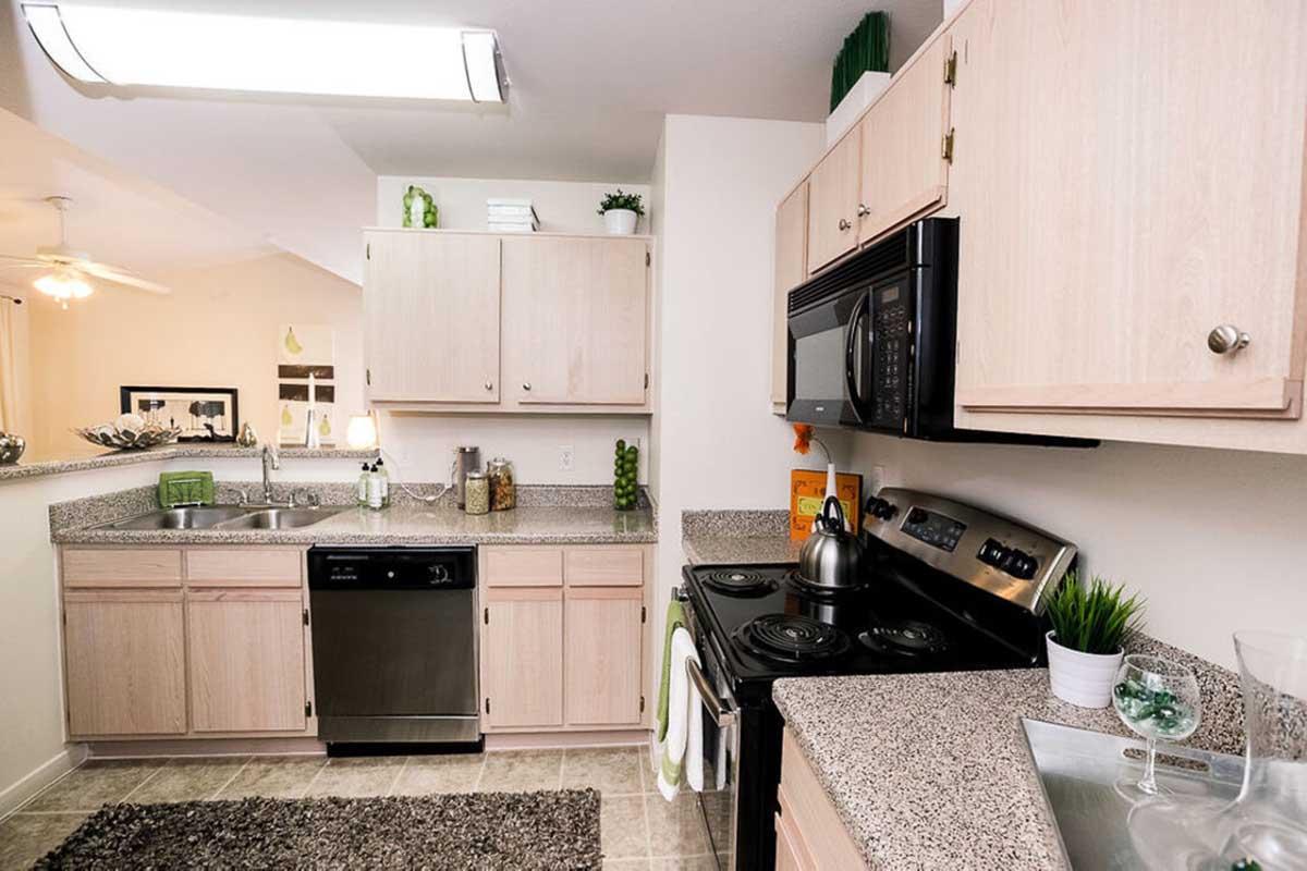 Modern kitchen with light wood cabinetry, granite countertops, stainless steel appliances, including a microwave and dishwasher. A decorative rug on the floor adds warmth, while green accents bring a touch of nature. Bright lighting from overhead fixtures enhances the open, inviting atmosphere.