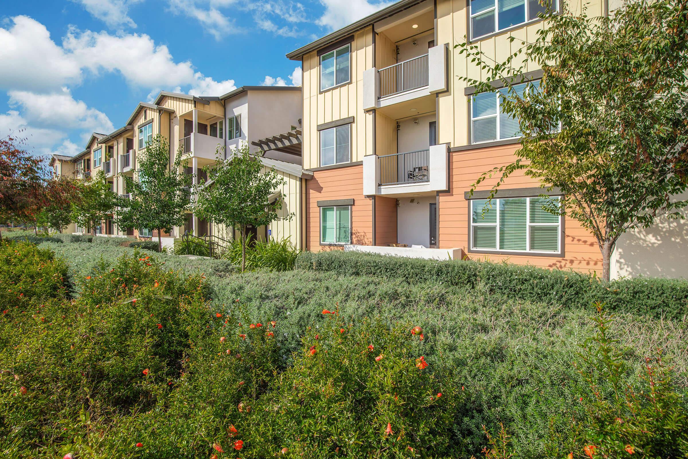 a house with bushes in front of a building